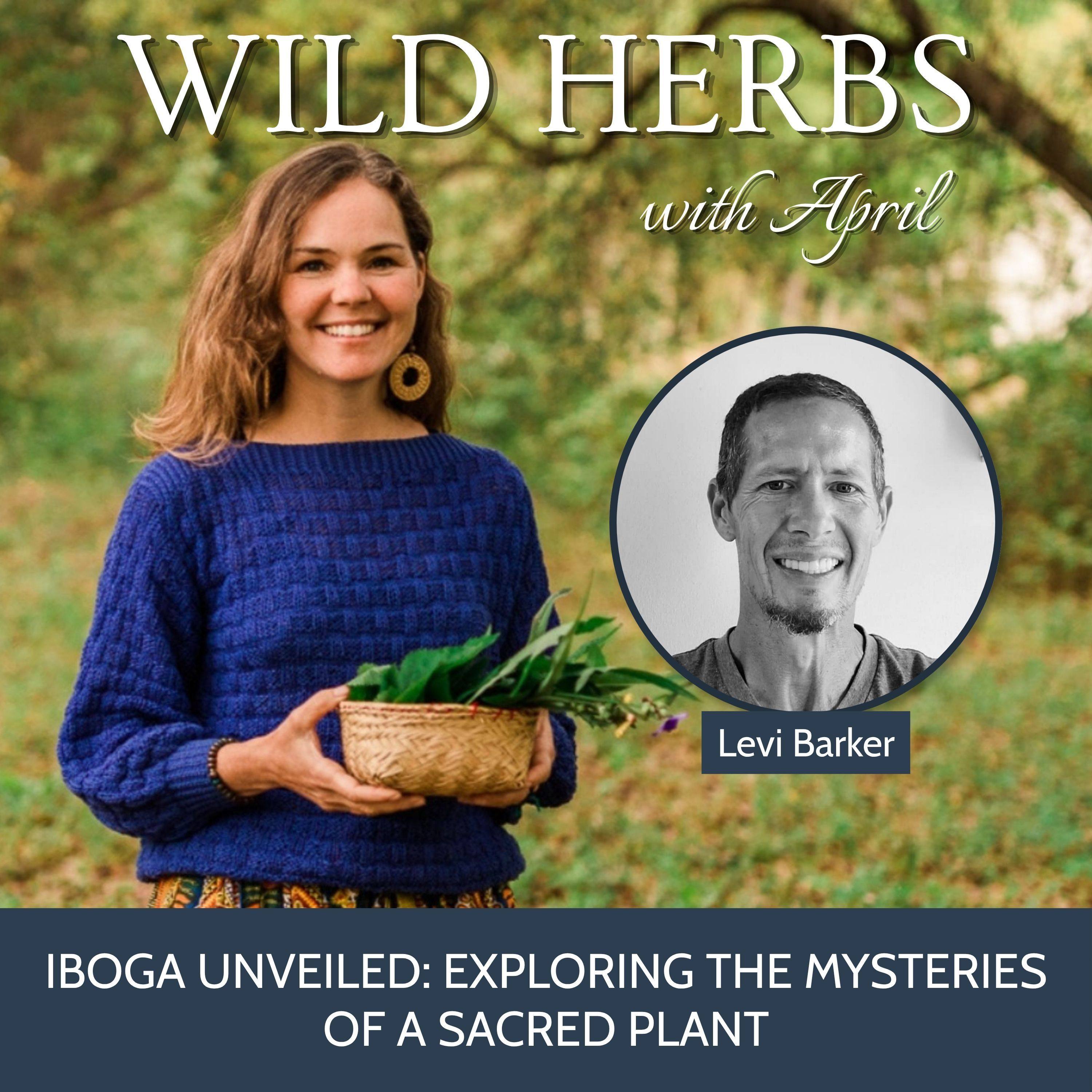 Wild Herbs with April