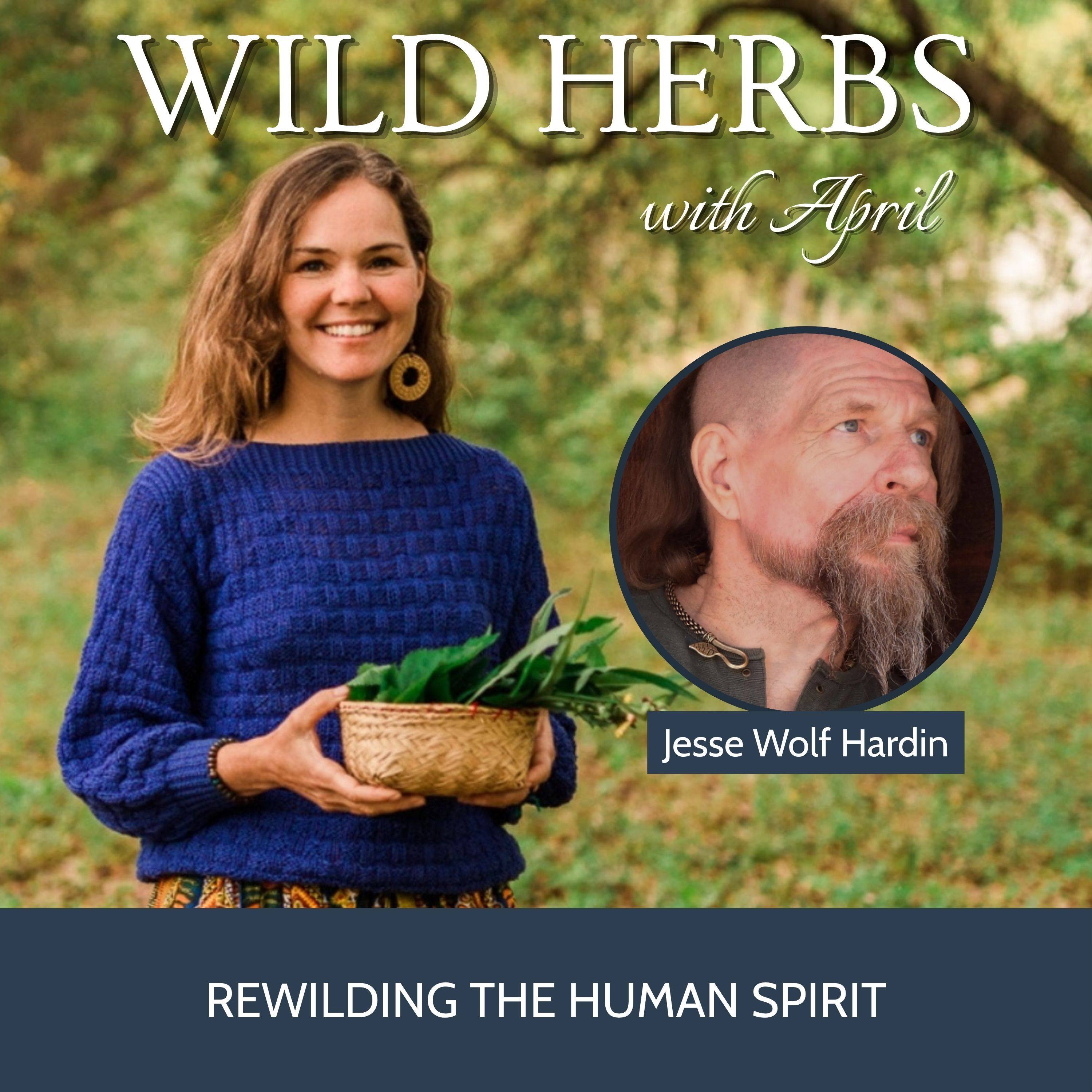 #32 Rewilding the Human Spirit with Jesse Wolf Hardin