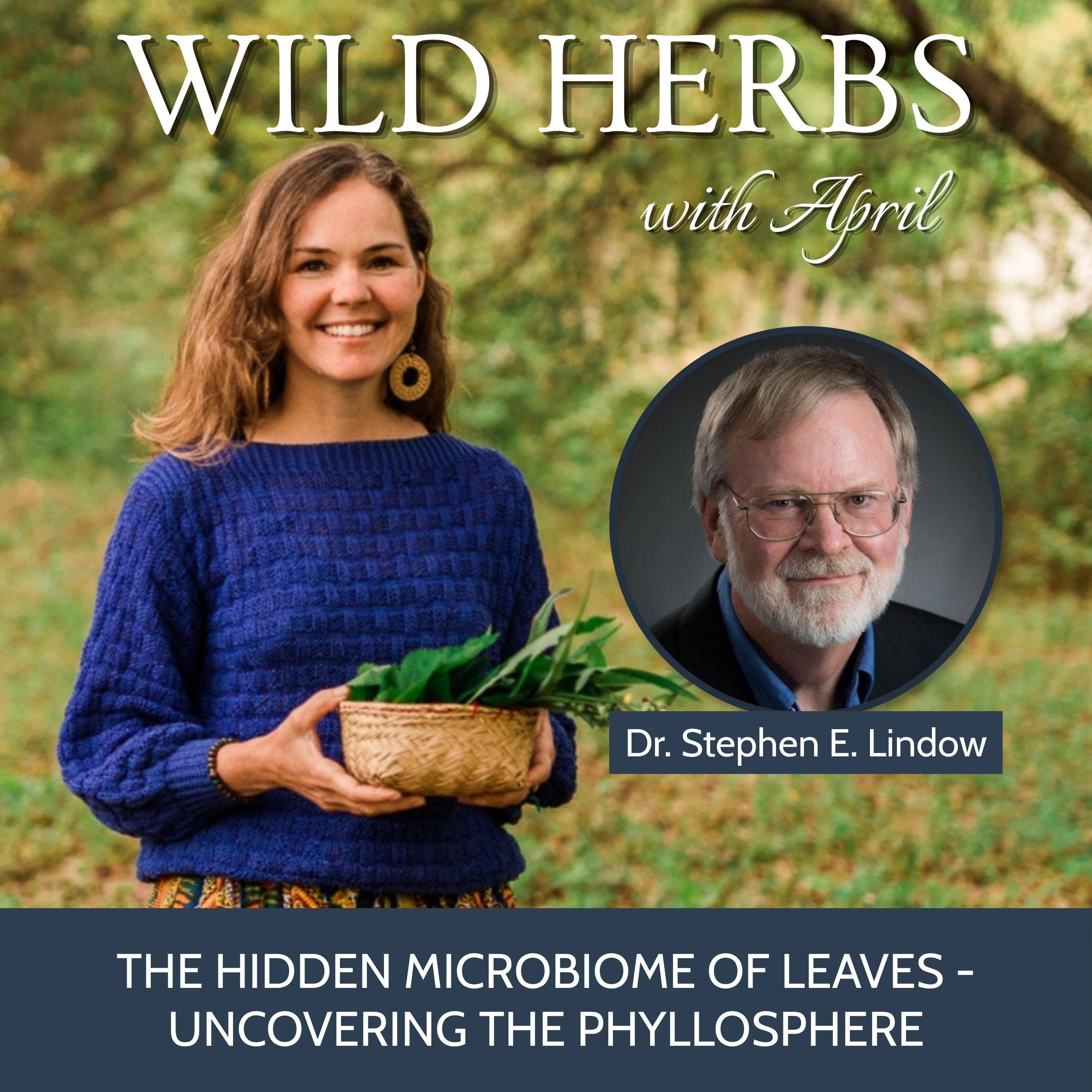 Wild Herbs with April