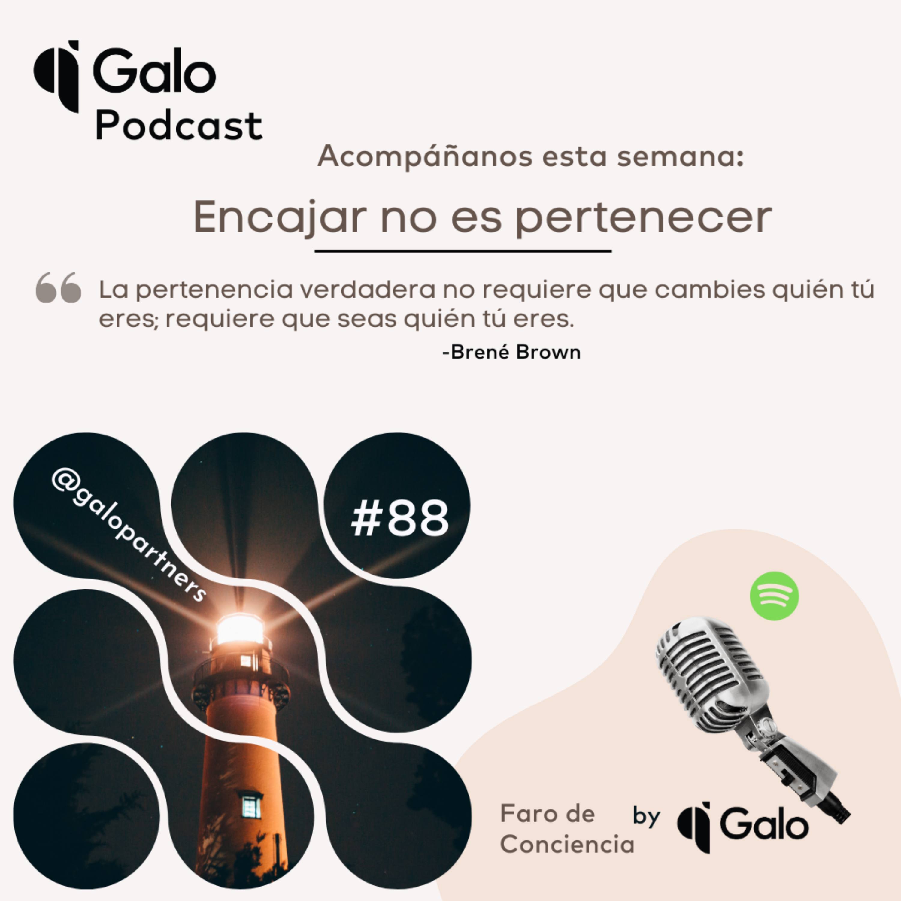 Episodio 88: Encajar No Es Pertenecer