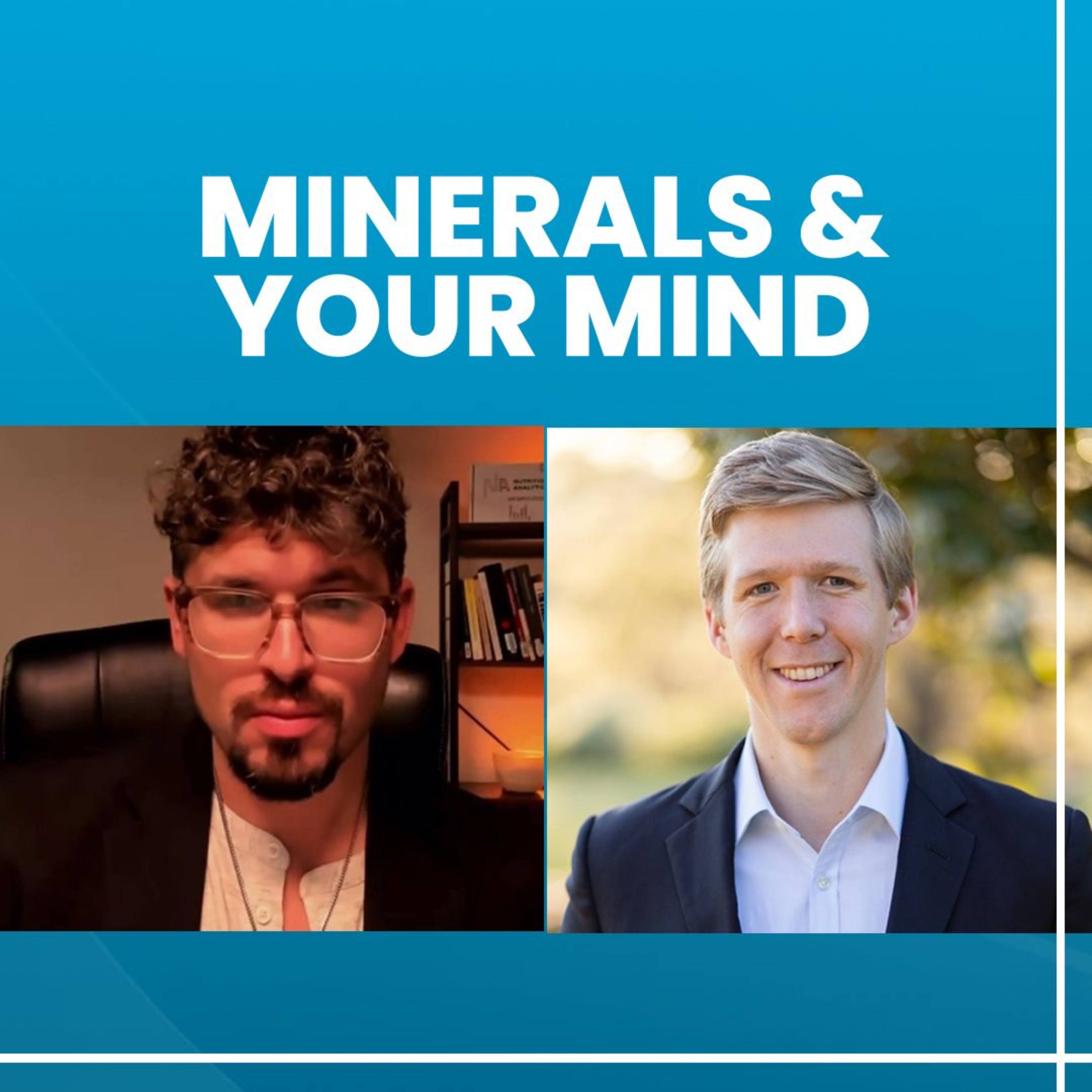 Minerals and Your Mind: How Minerals and Heavy Metals Make or Break Your Mental Health