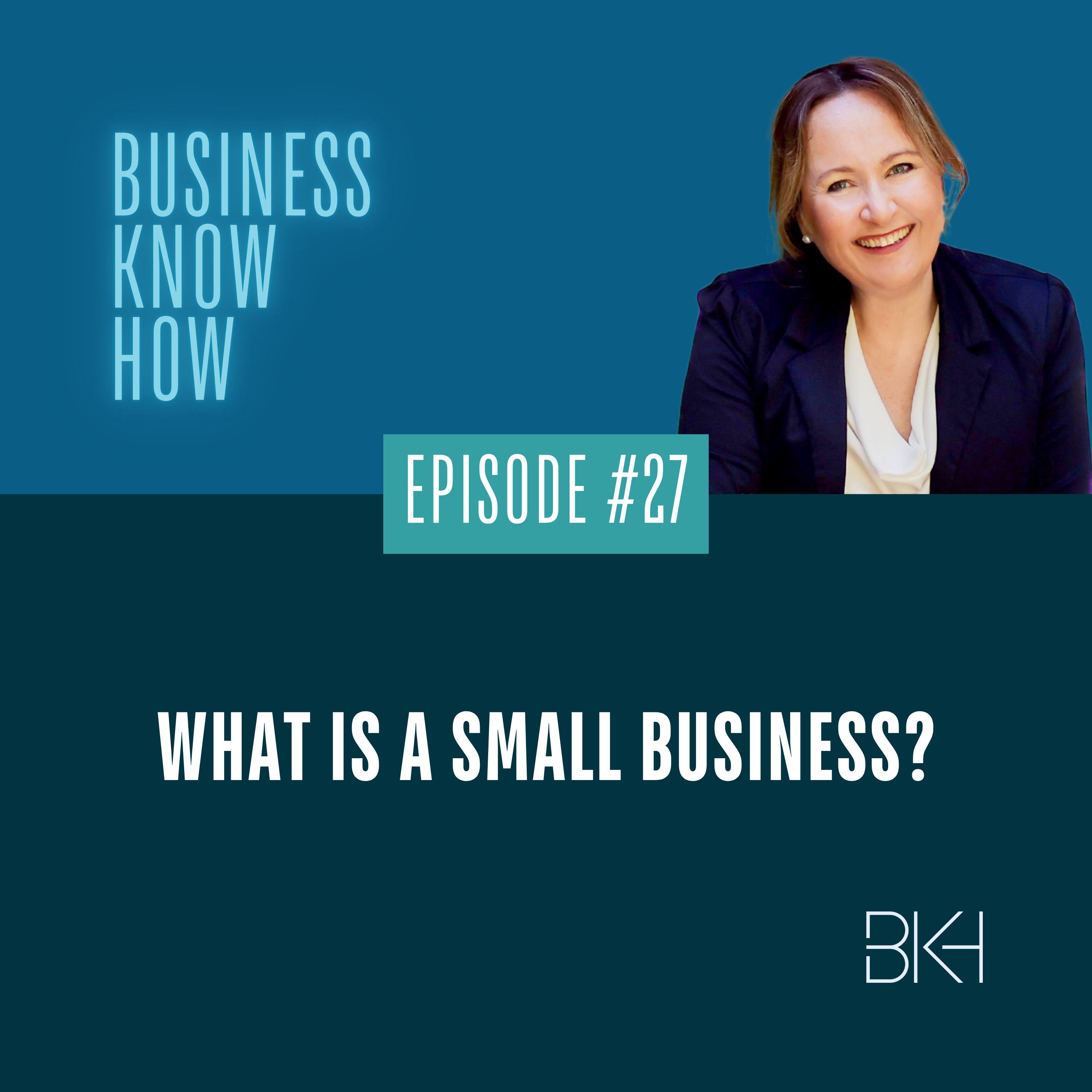 27 - What is a small business? episode artwork