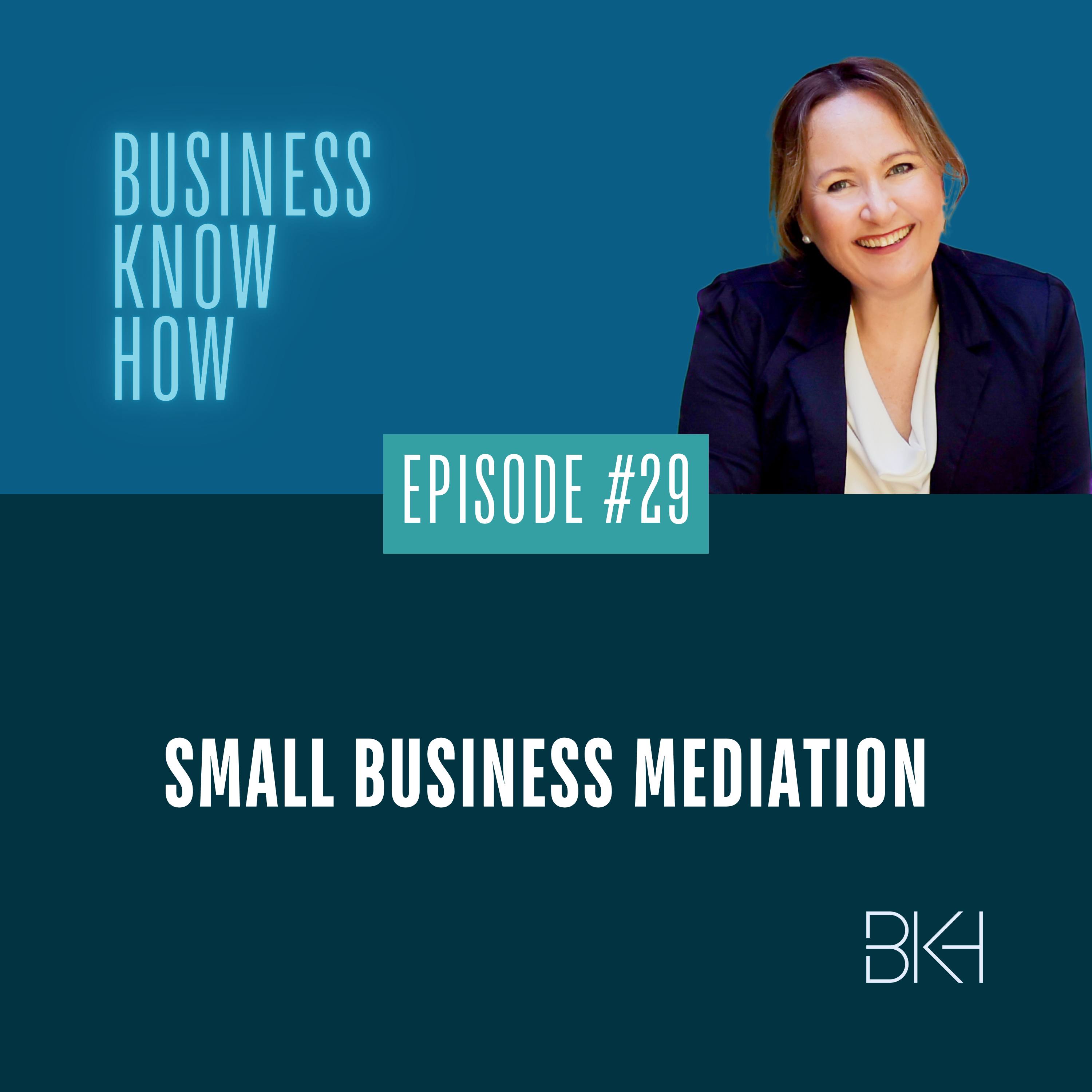 29 - Small business mediation episode artwork
