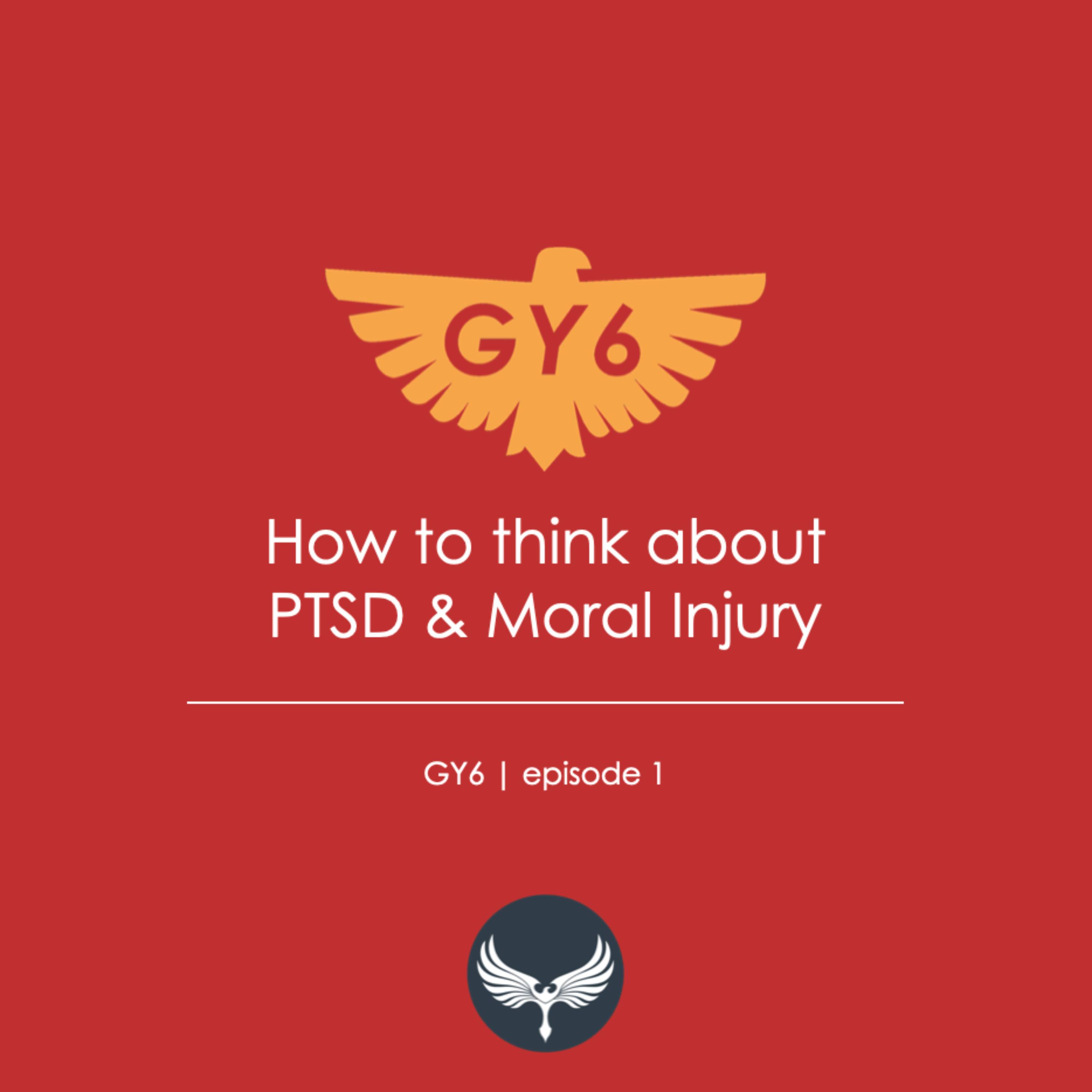 How to think about PTSD & Moral Injury