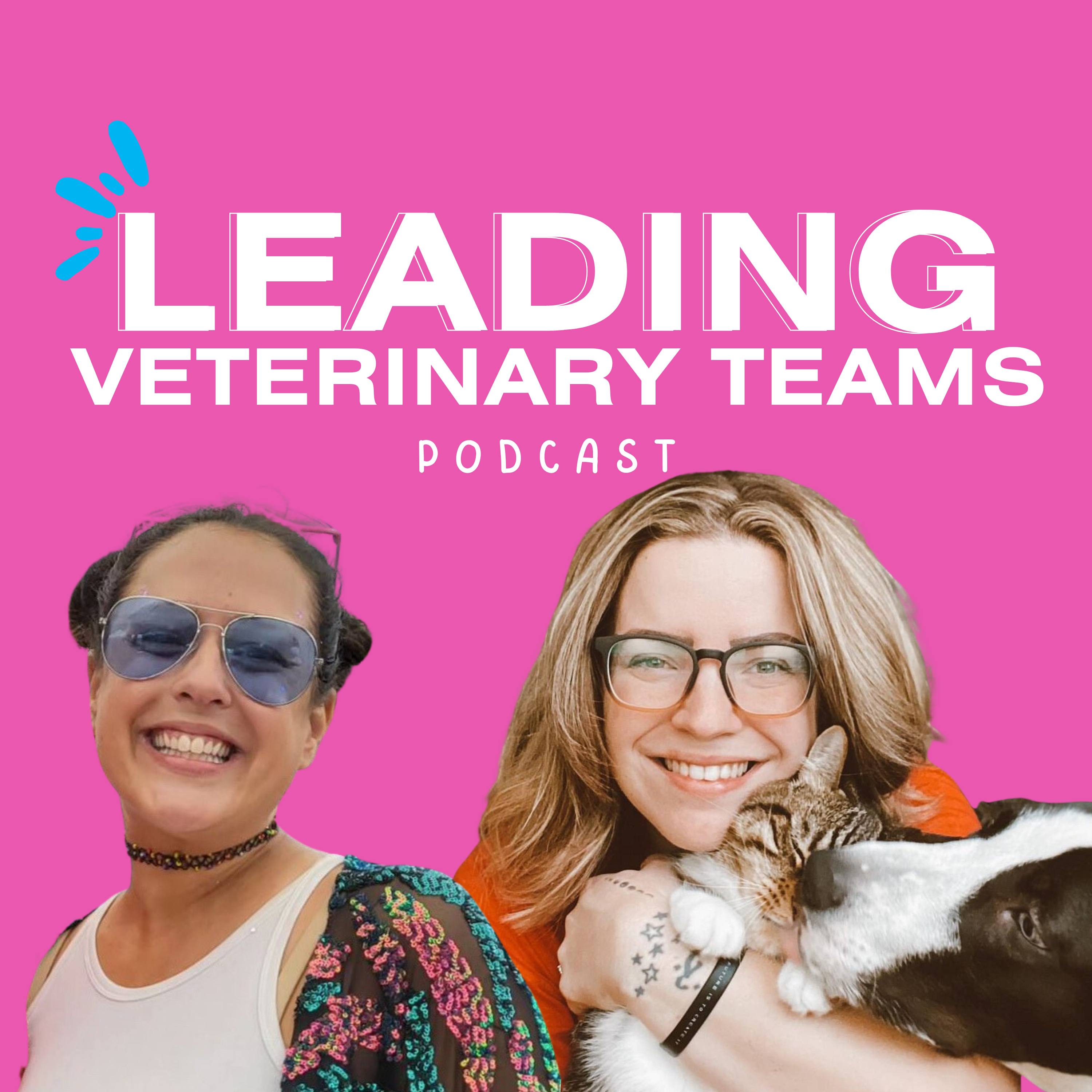 Episode 1: Our Journey from clinic to corporate and back to the clinic episode artwork