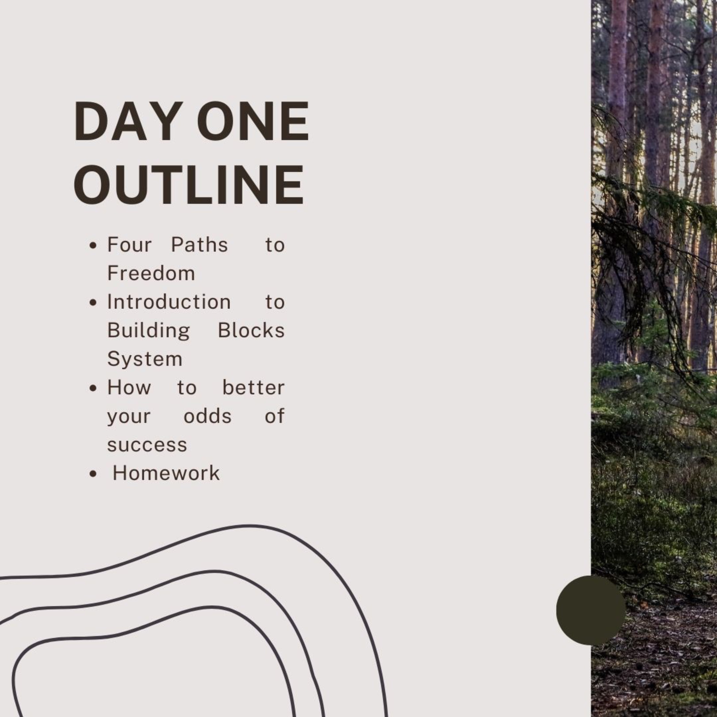 Day 1 of Building Blocks to Freedom Challenge