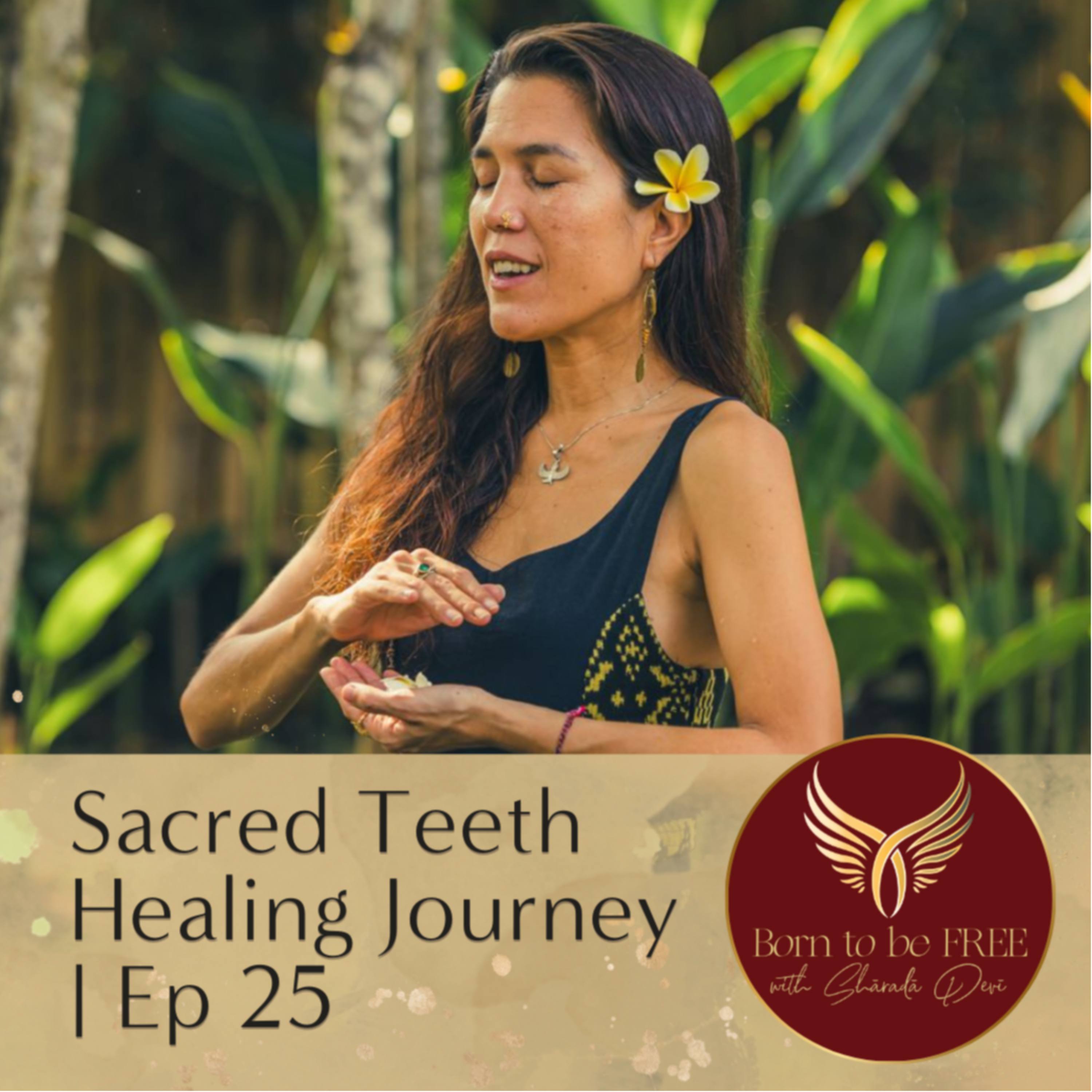 Sacred Teeth Healing Journey | Ep 25 episode artwork