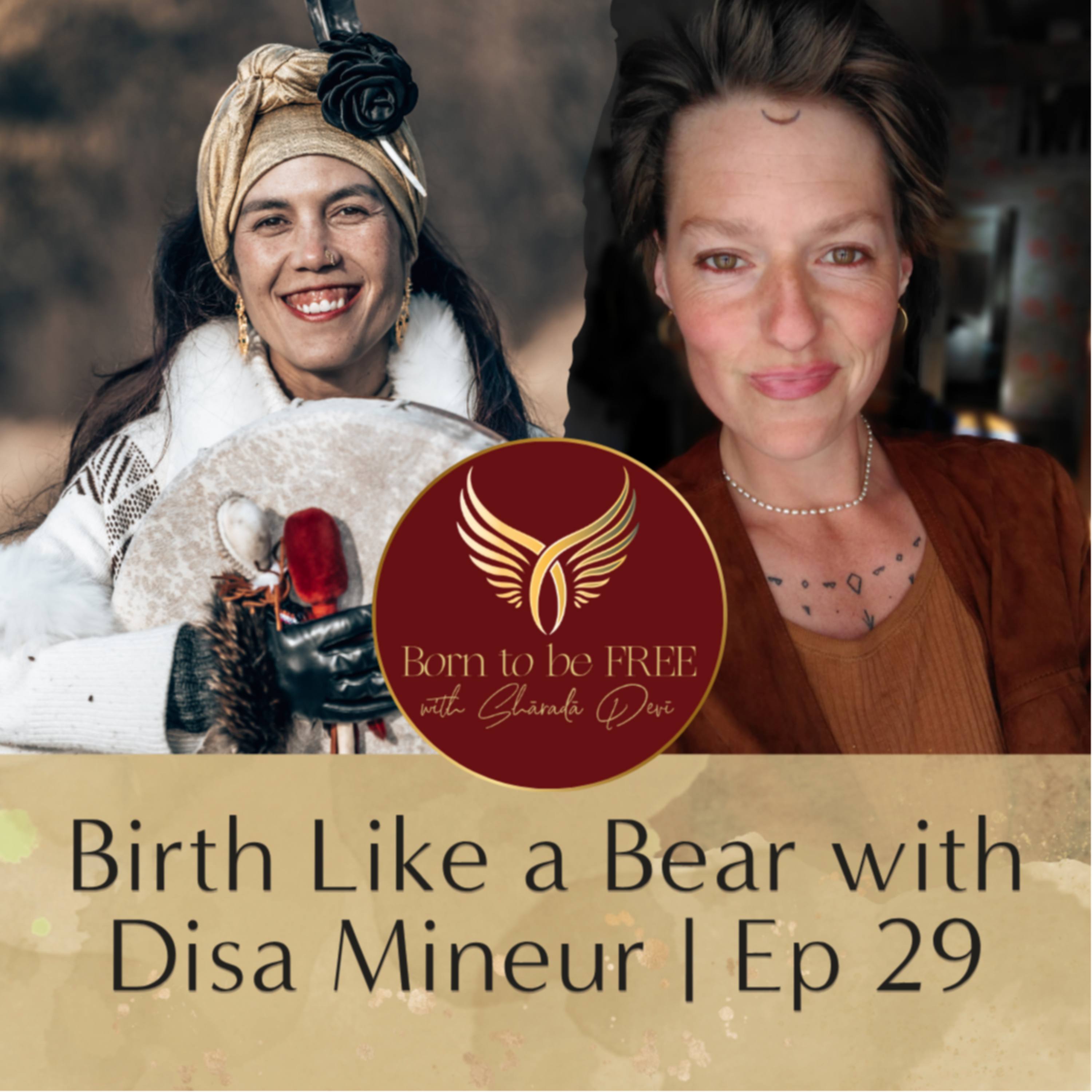 Birth Like a Bear with Disa Mineur | Ep 29 episode artwork
