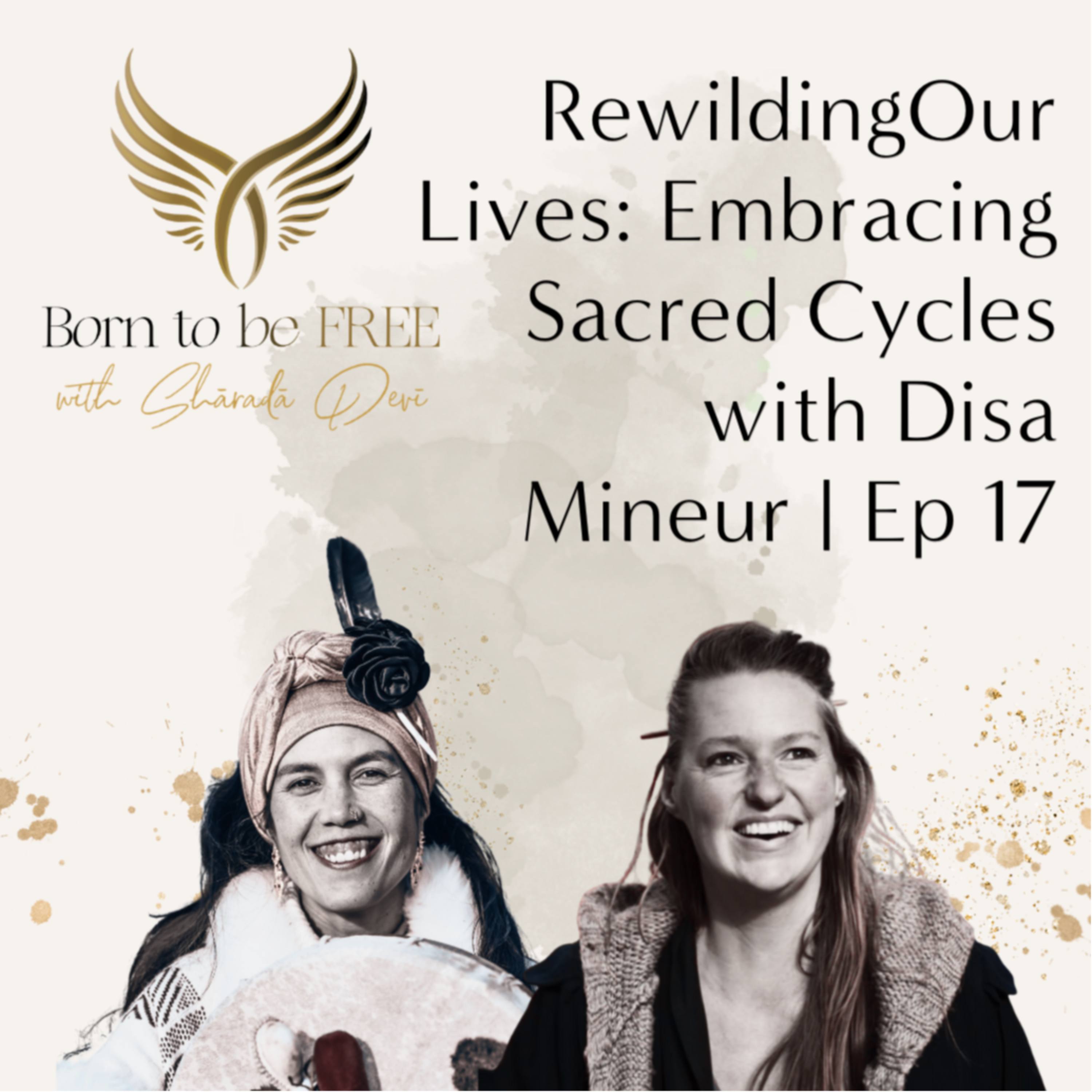 Rewilding Our Lives: Embracing Sacred Cycles with Disa Mineur | Ep 17 episode artwork