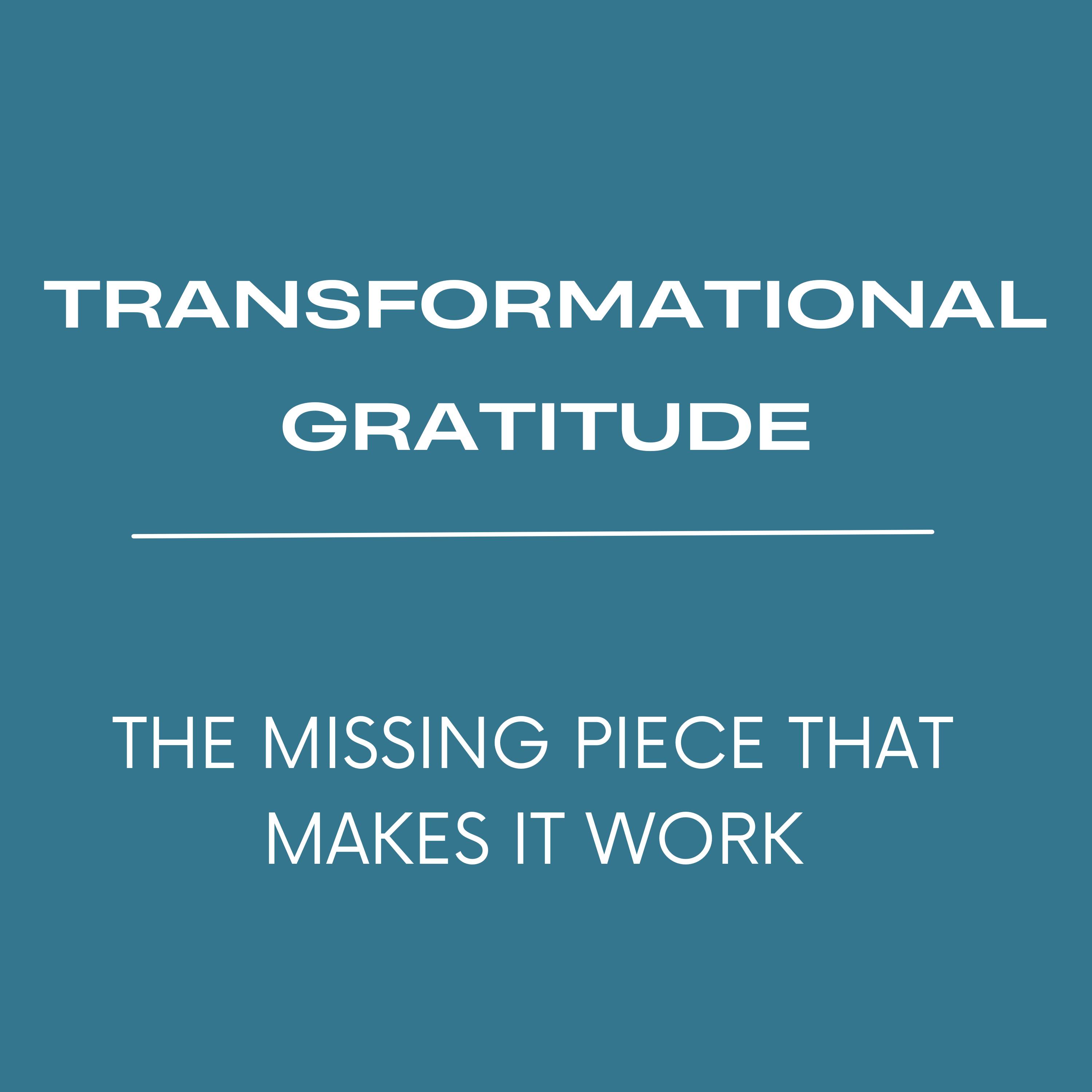 E11 Transformational Gratitude: The Missing Piece That Makes It Work episode artwork