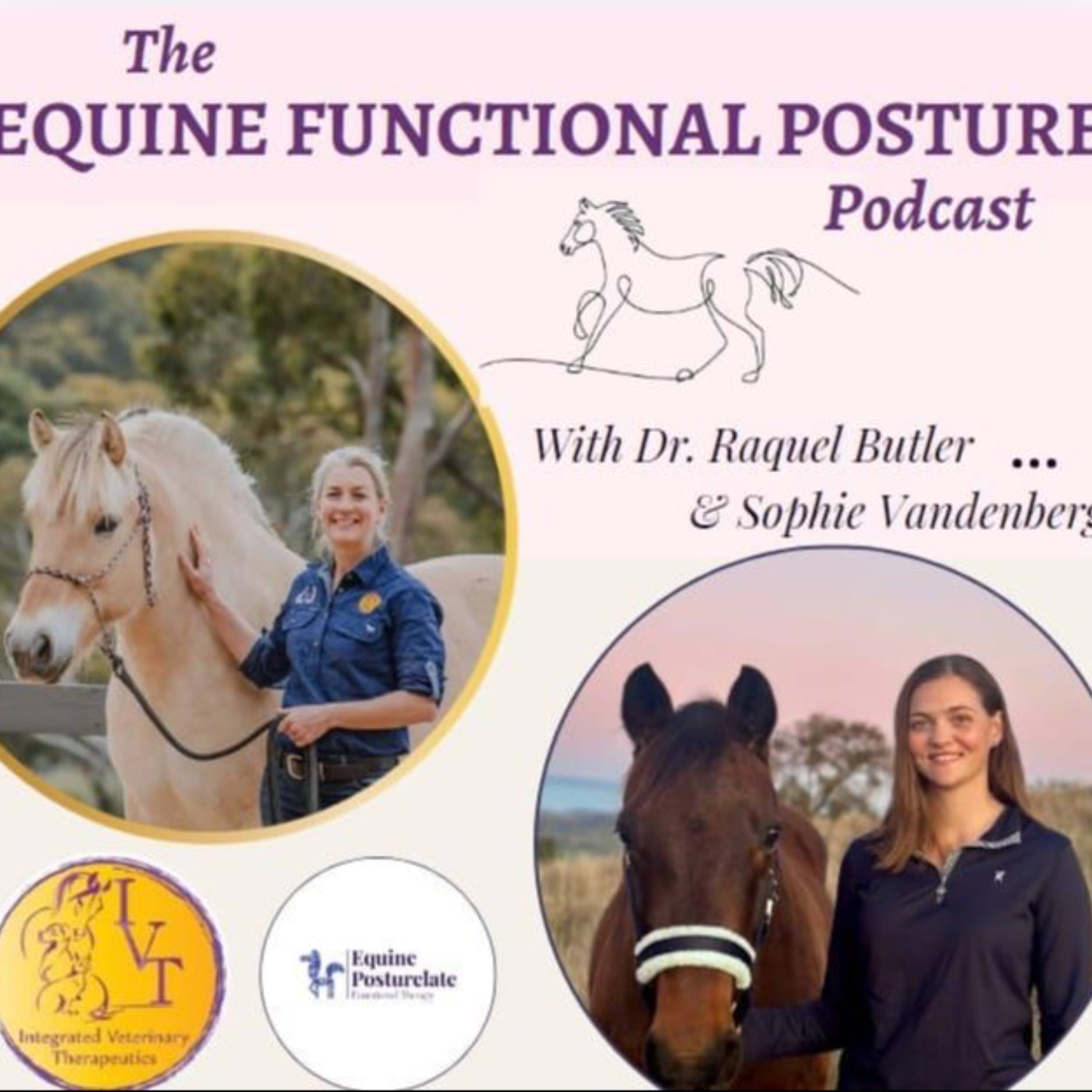 The Equine Functional Posture Podcast
