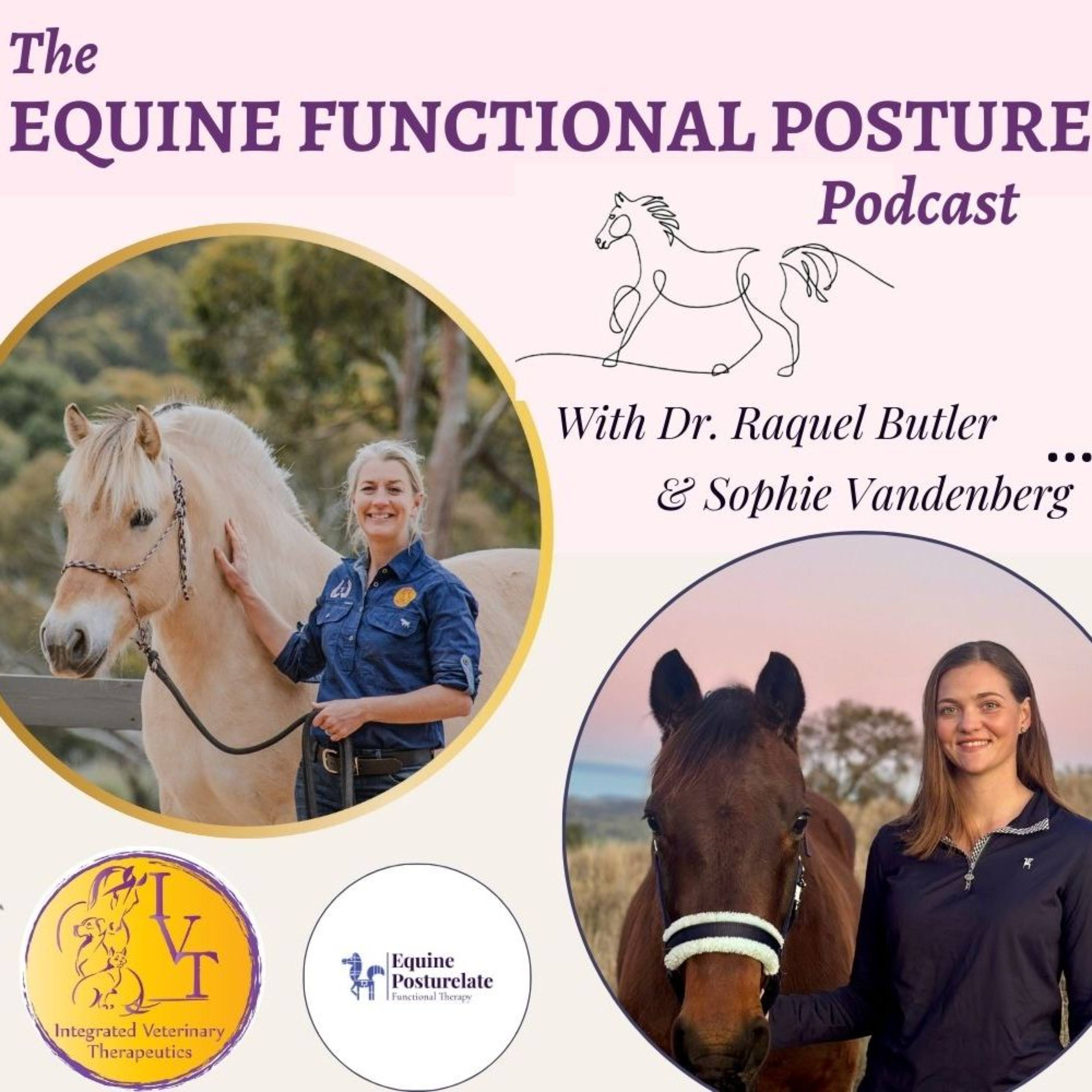 The Equine Functional Posture Podcast
