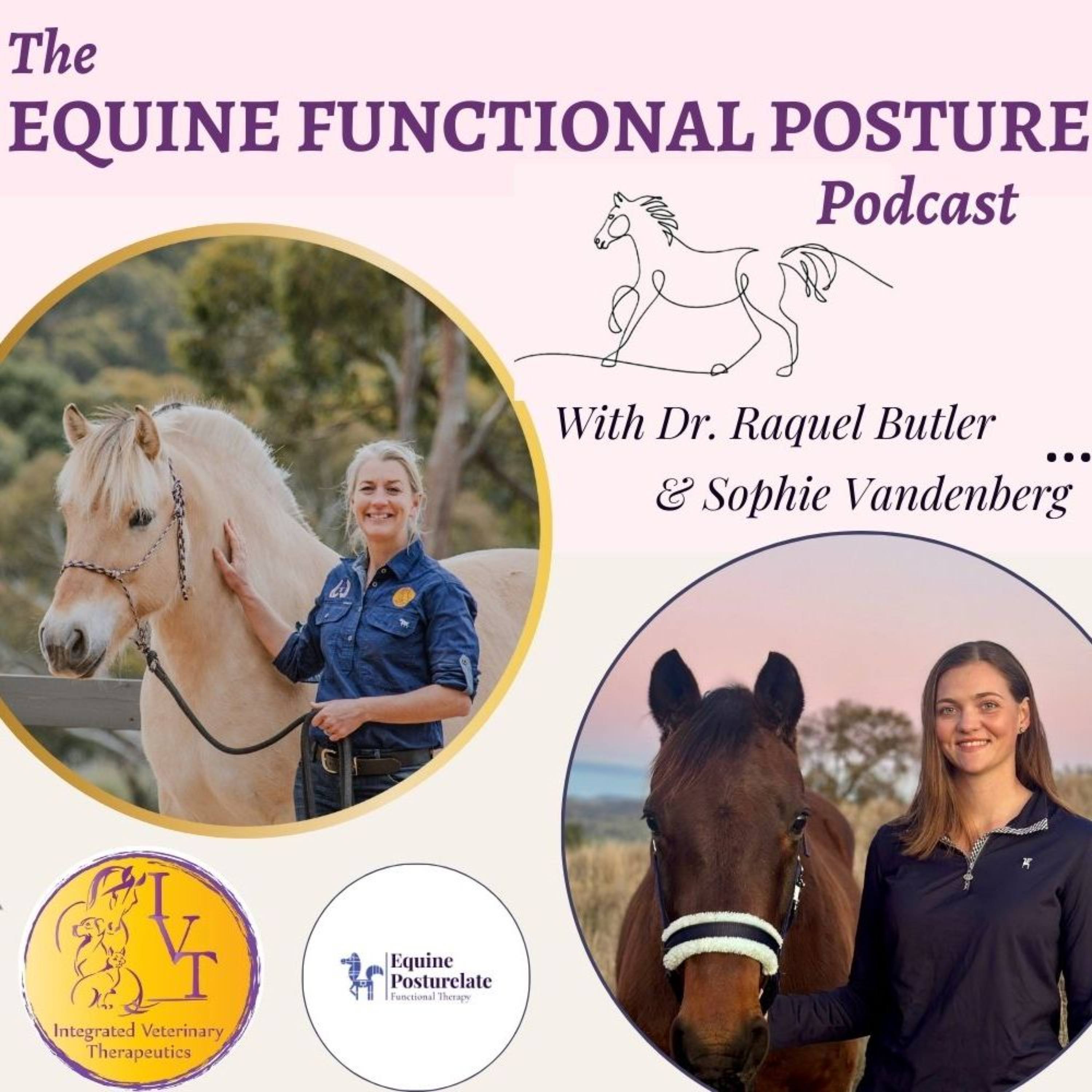 The Equine Functional Posture Podcast