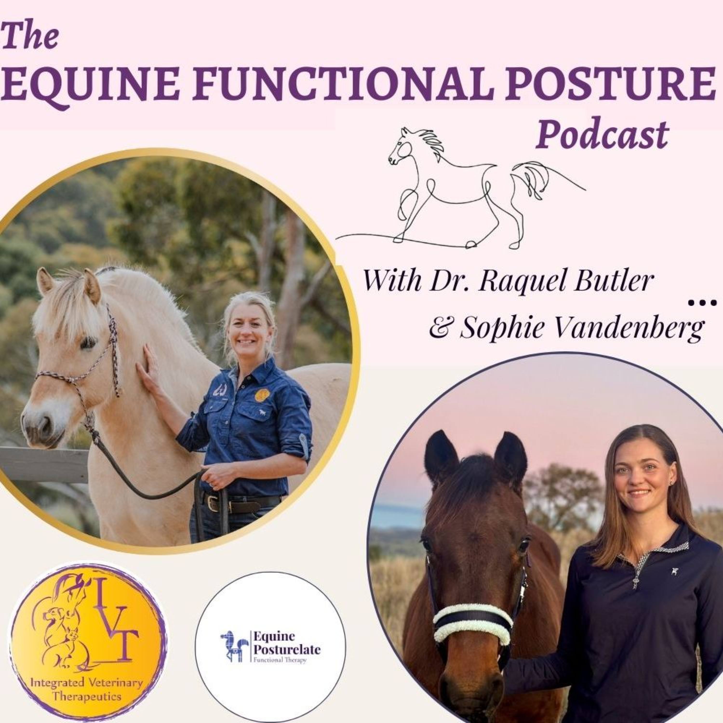 The Equine Functional Posture Podcast