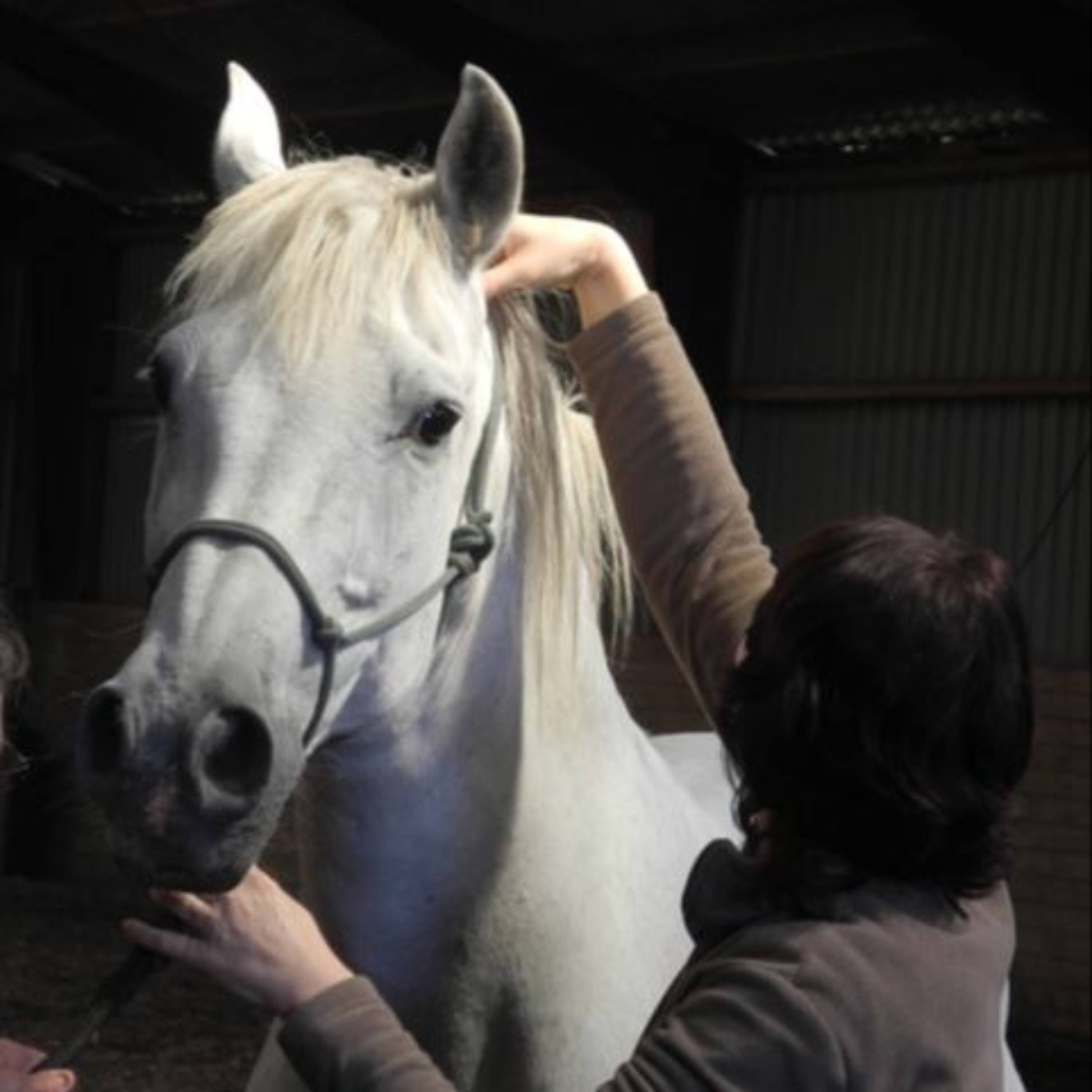 40 - Meet Ivana Ruddock