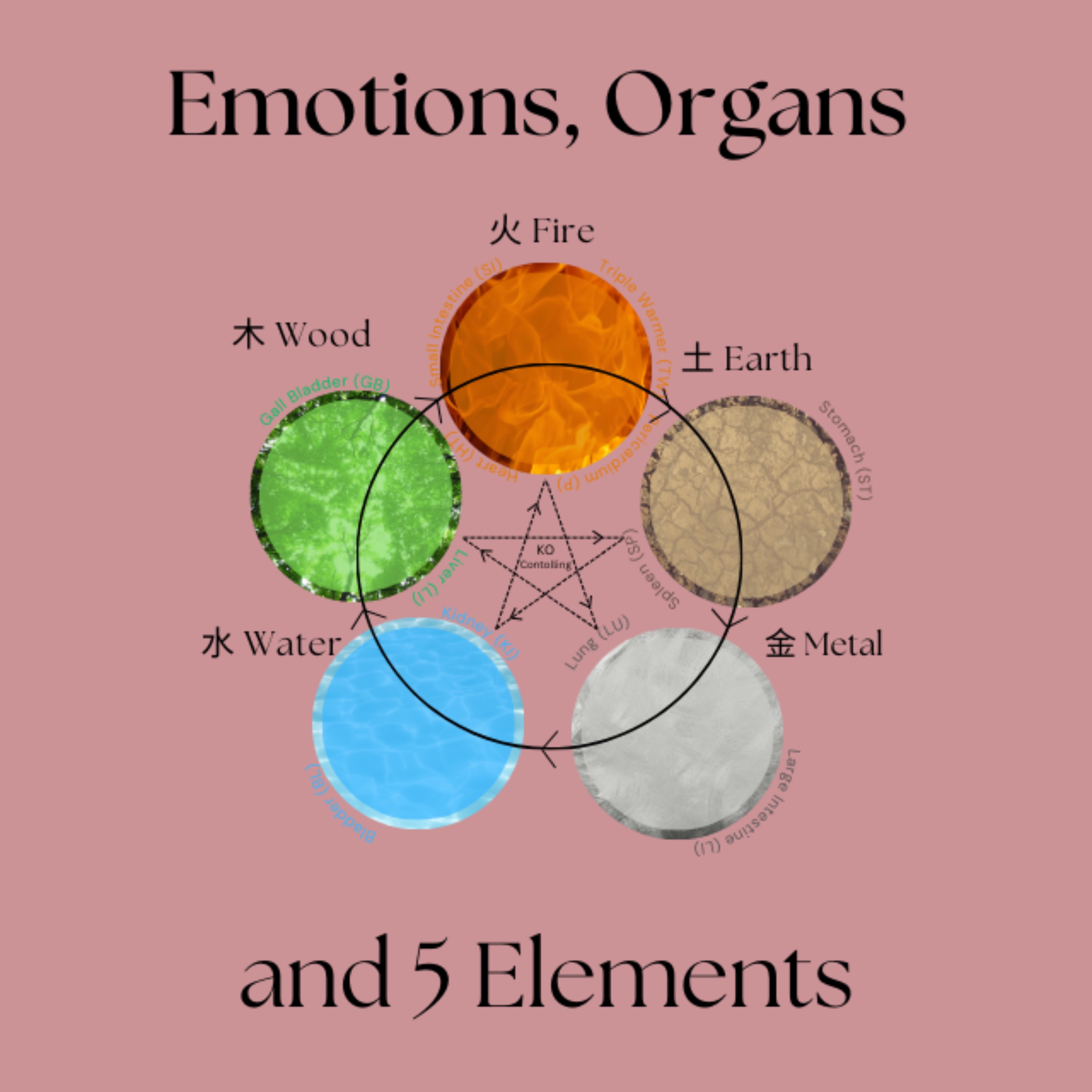 Five Elements, Five Emotions episode artwork