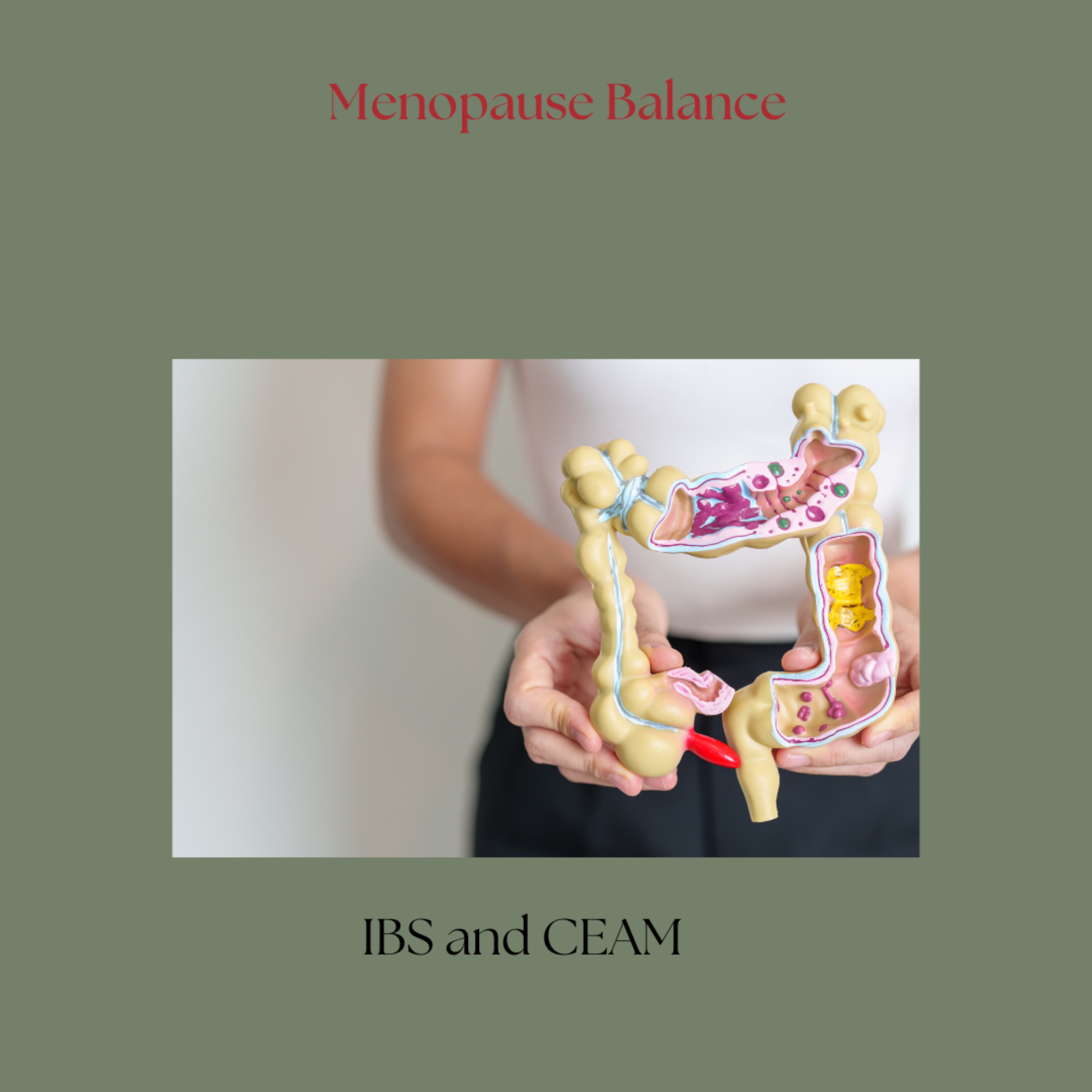 IBS and CEAM — Menopause Balance cover