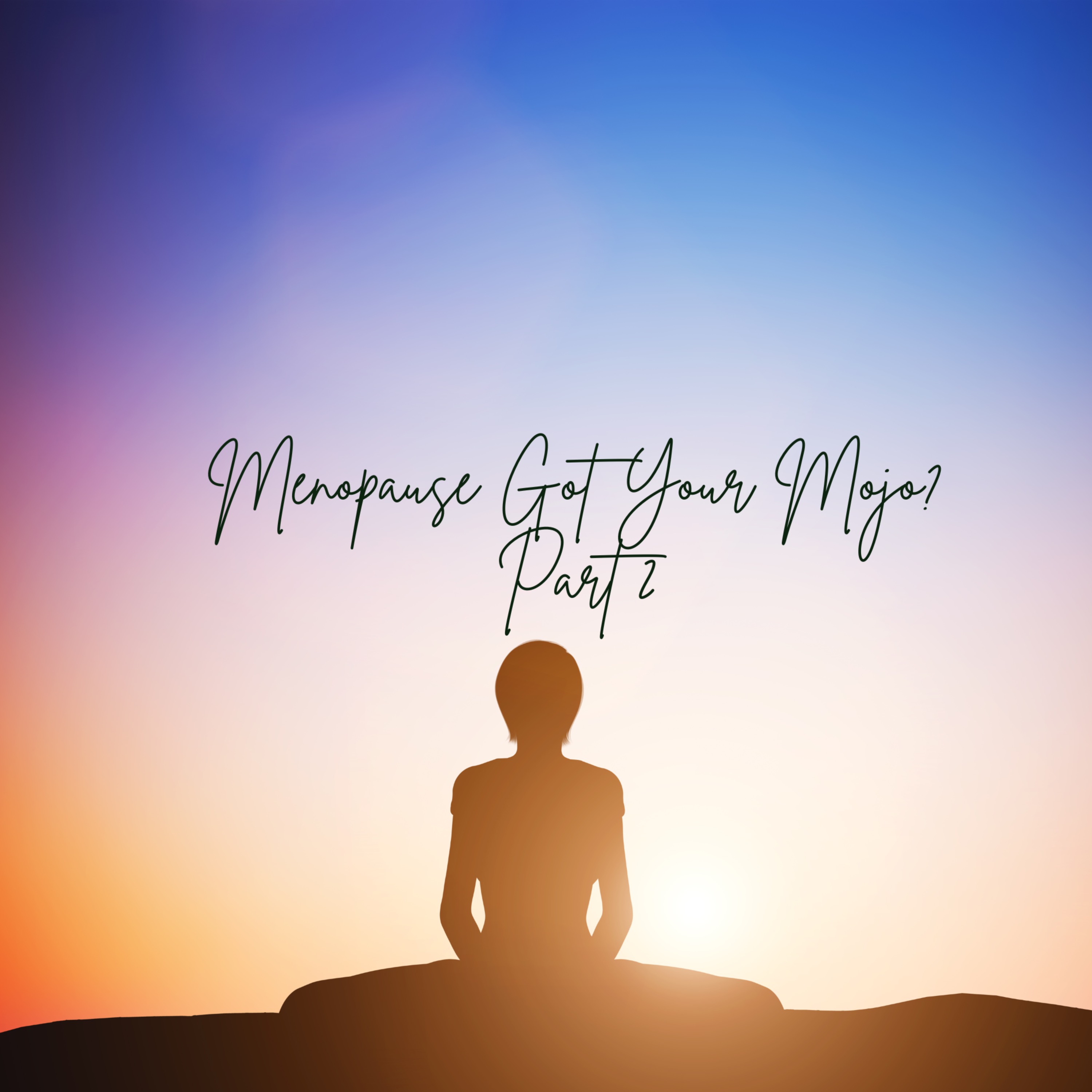 Menopause Got Your Mojo? Part 2 episode artwork