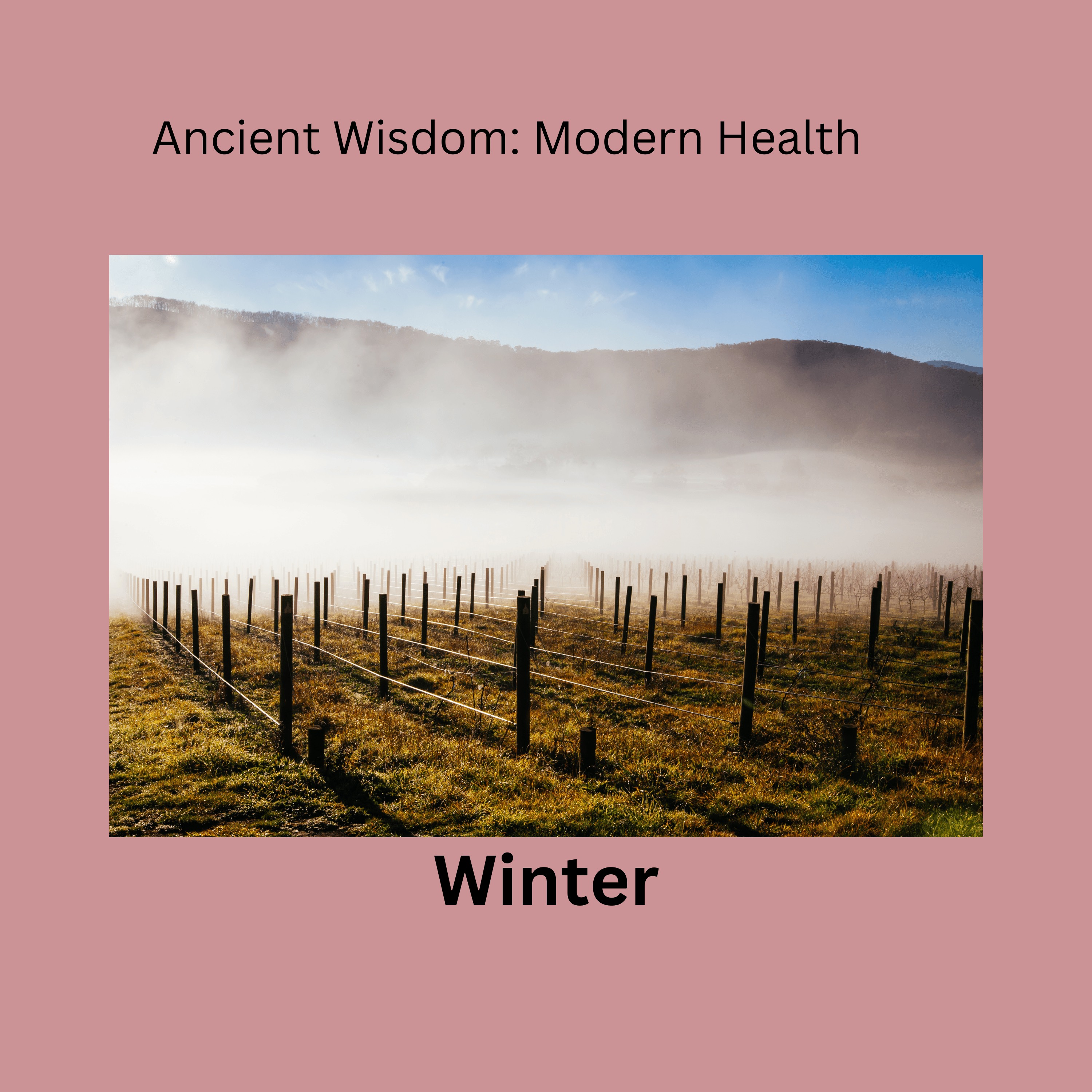 Winter and CEAM — Menopause Balance cover