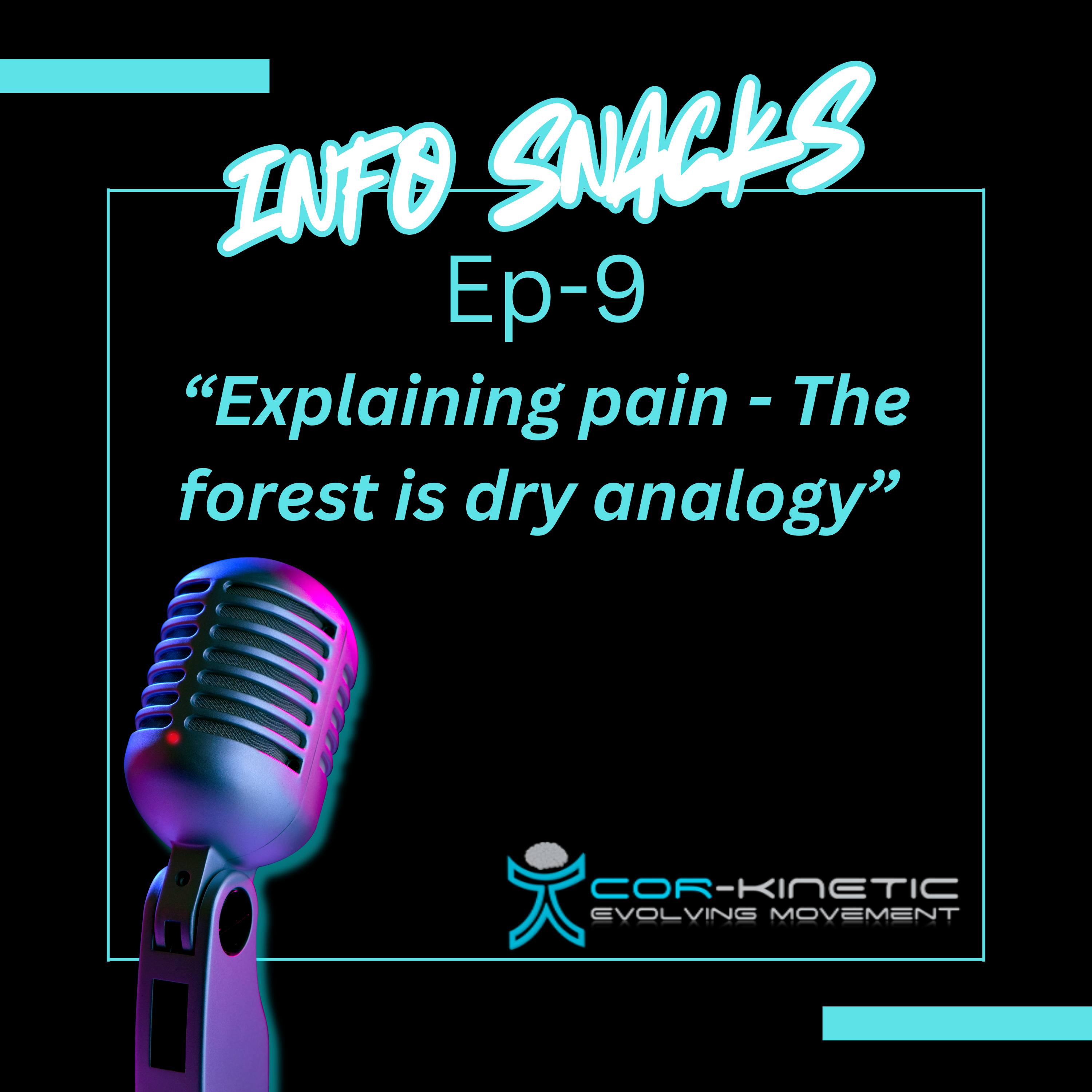 Cor-Kinetic info snacks Ep 9 - Explaining pain (what makes the forest dry analogy) — Cor-kinetic cover