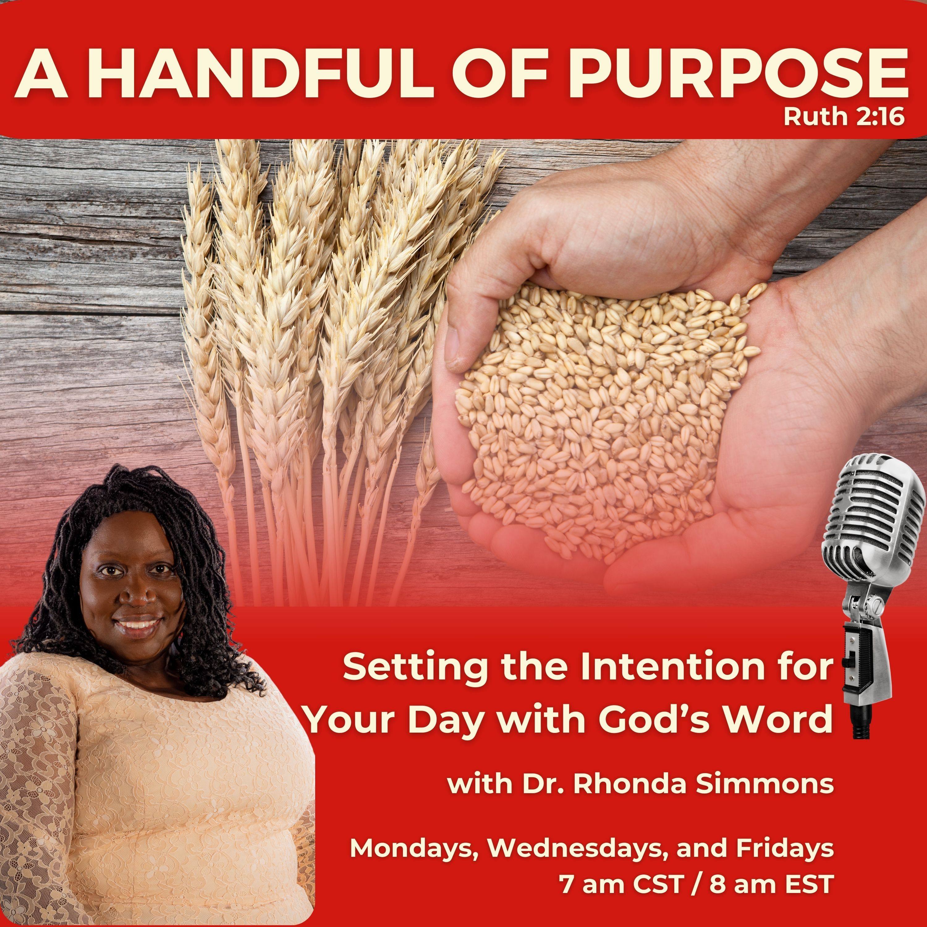 Episode 126: (BONUS) A Handful of Purpose - 9/18/24 episode artwork