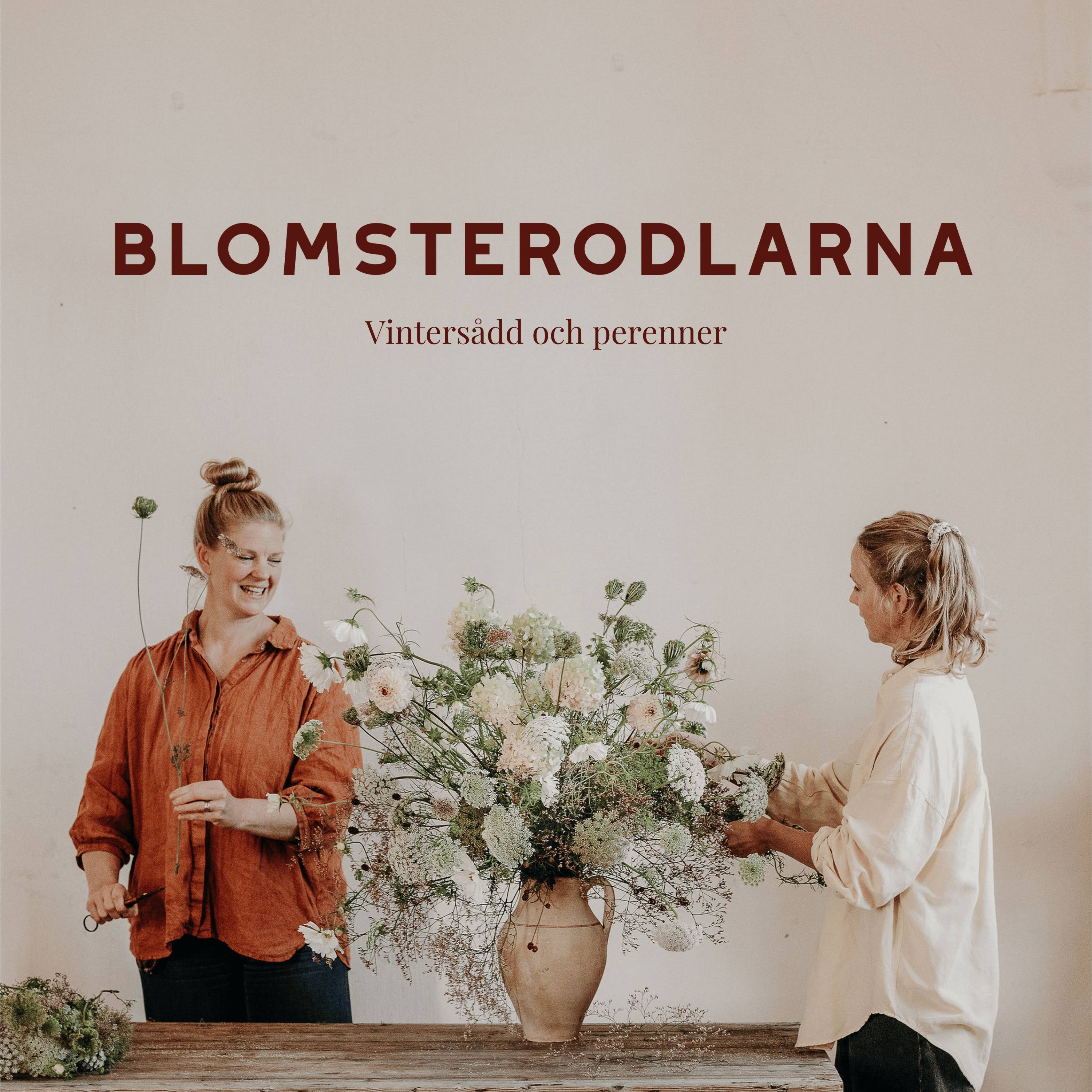 Vintersådd och perenner episode artwork
