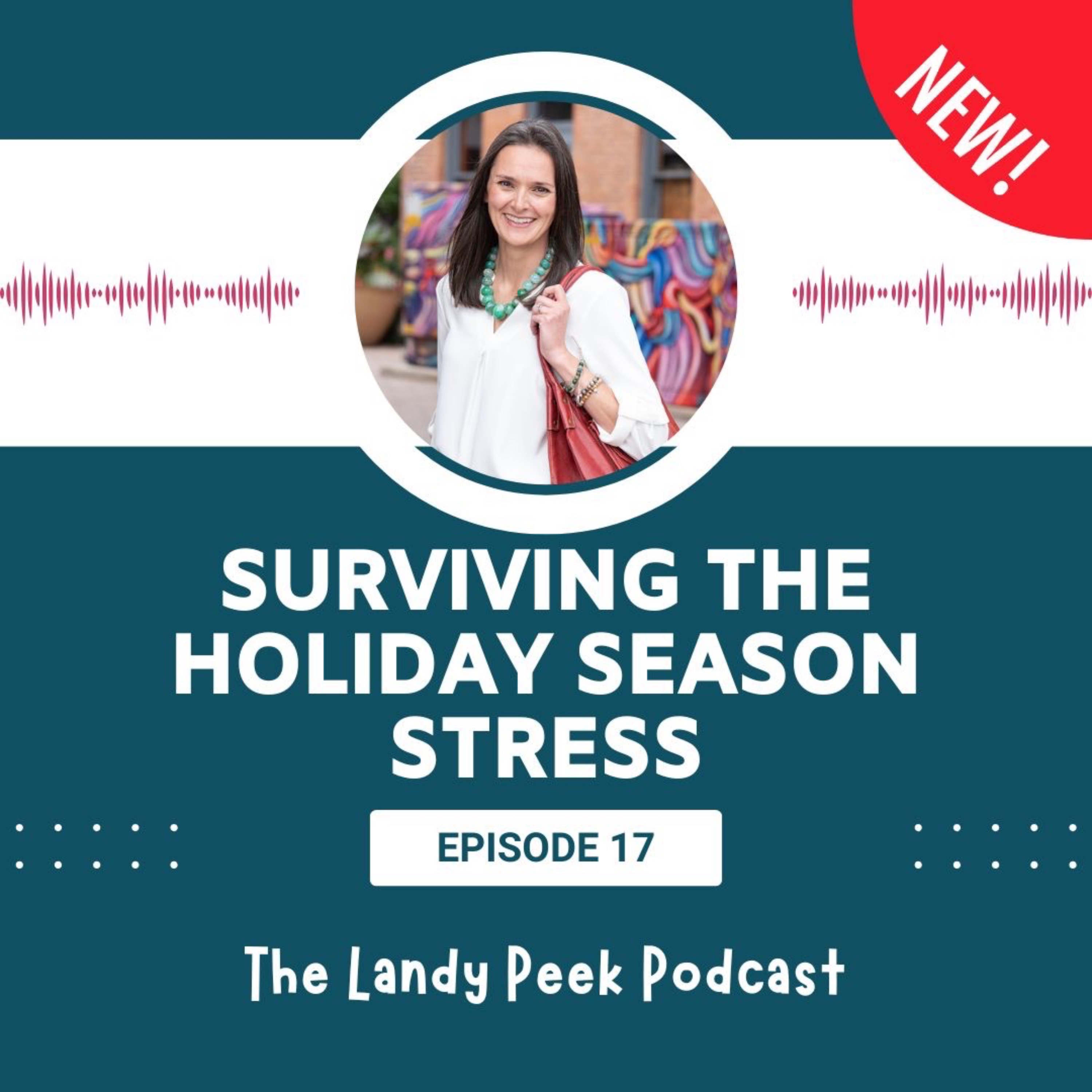 Episode #17: Surviving the Holiday Season Stress episode artwork