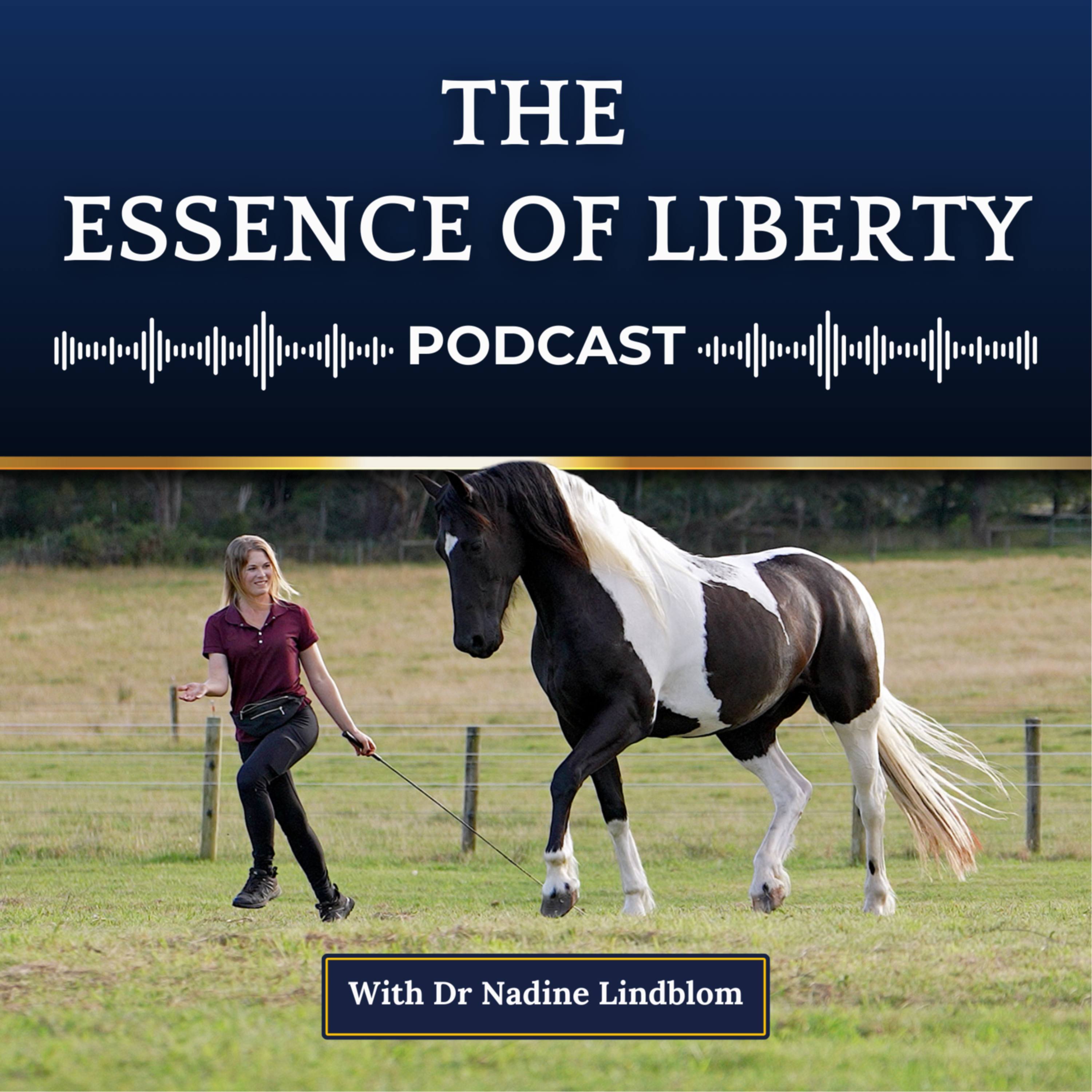 18 | Why I reward my horses for doing NOTHING episode artwork
