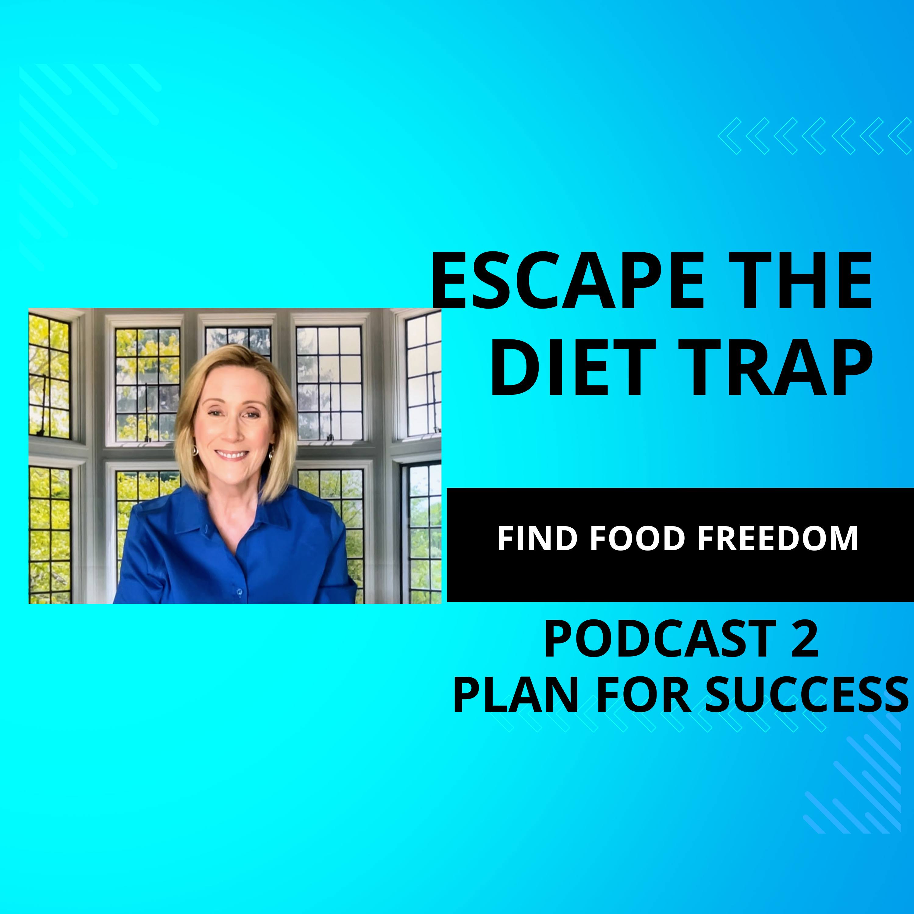 Plan For Success episode artwork