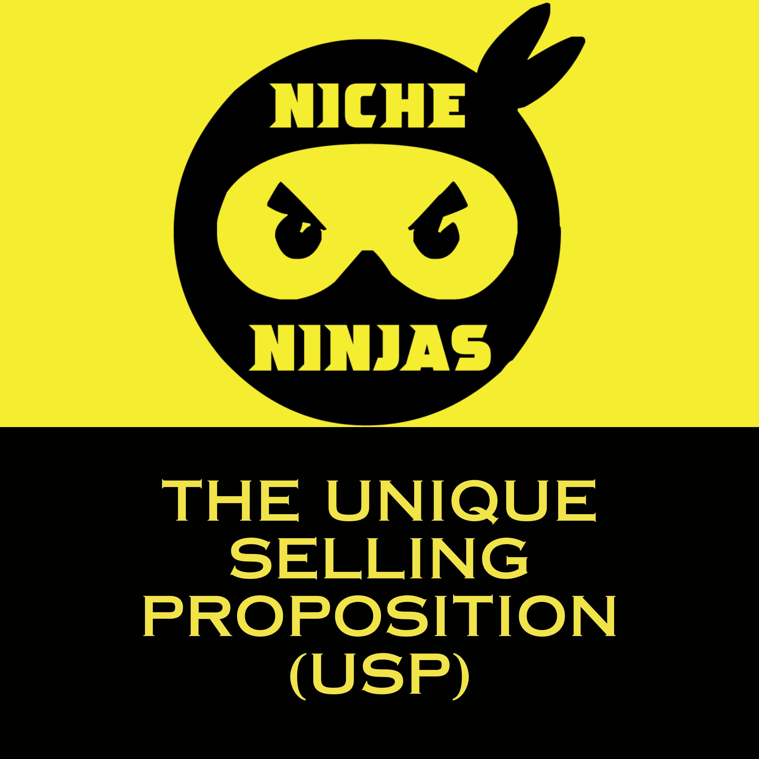 The Unique Selling Proposition (USP) episode artwork
