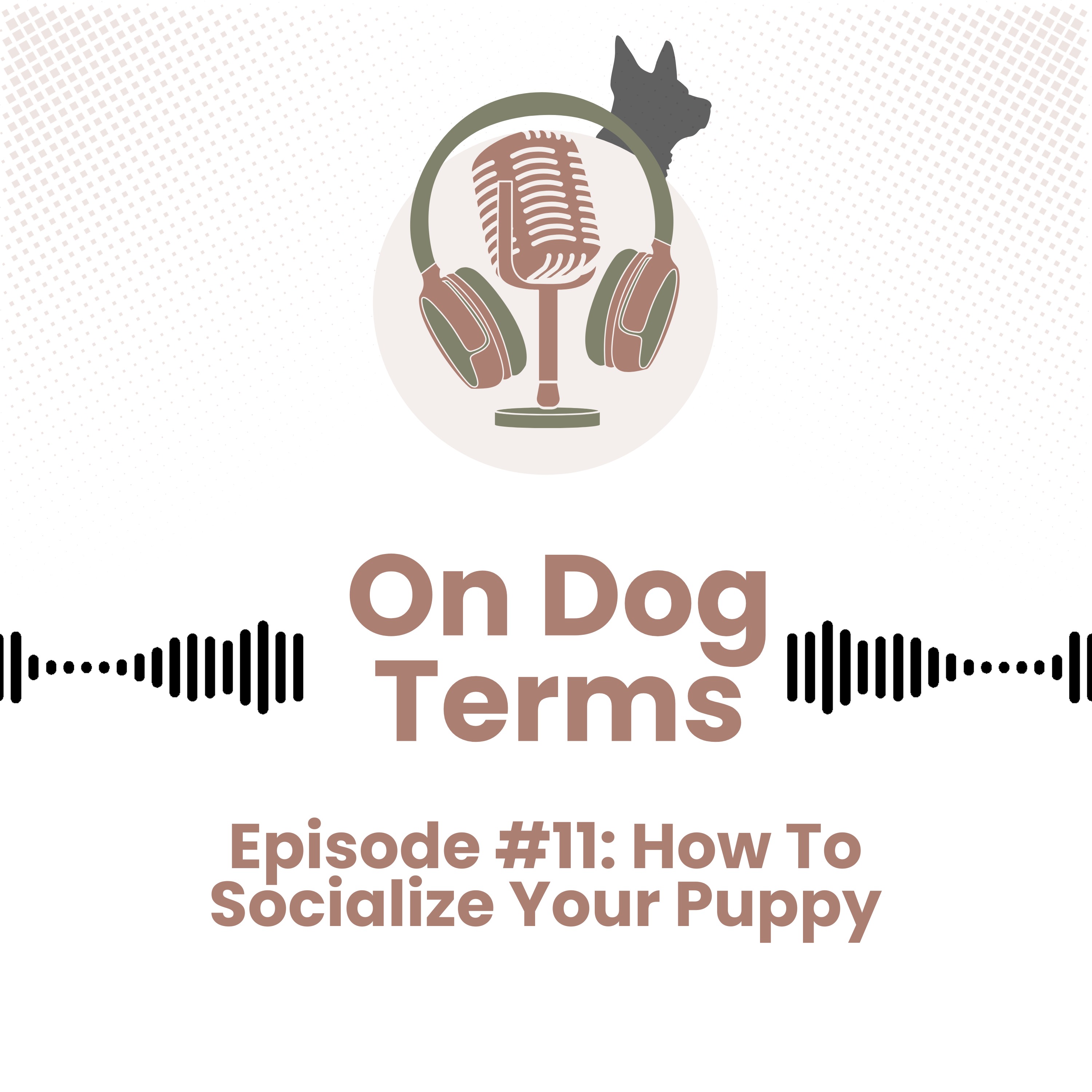 Play How To Socialize a Puppy