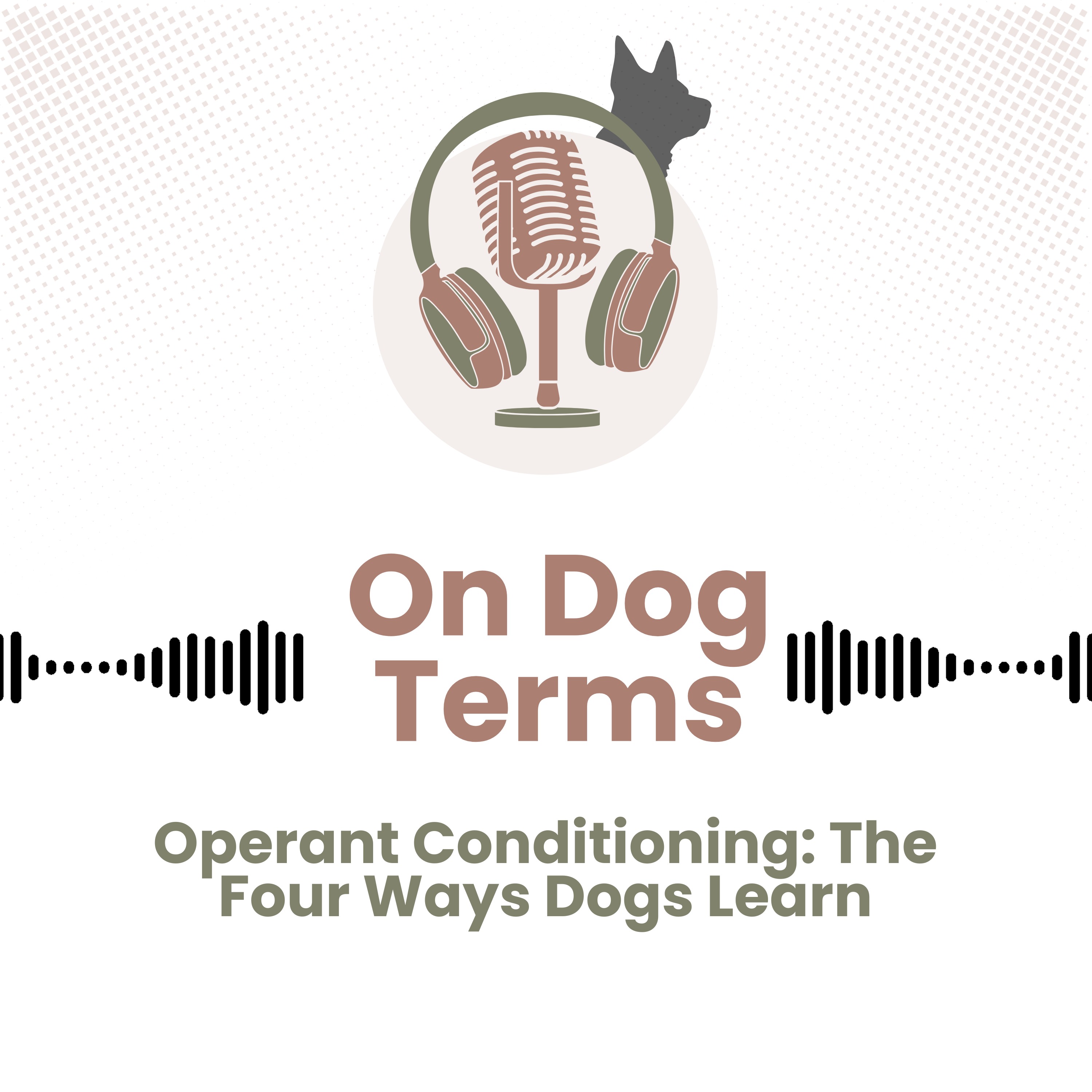 Play Operant Conditioning: The Four Ways Dogs Learn