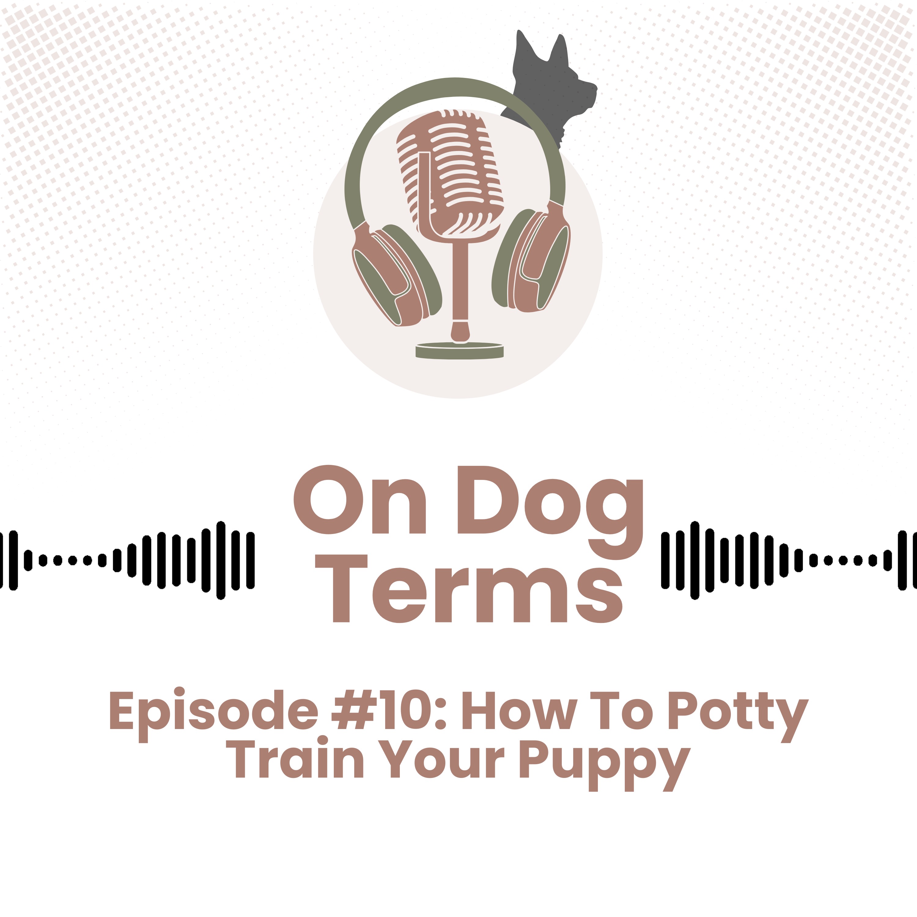 Play How To Potty Train Your Puppy