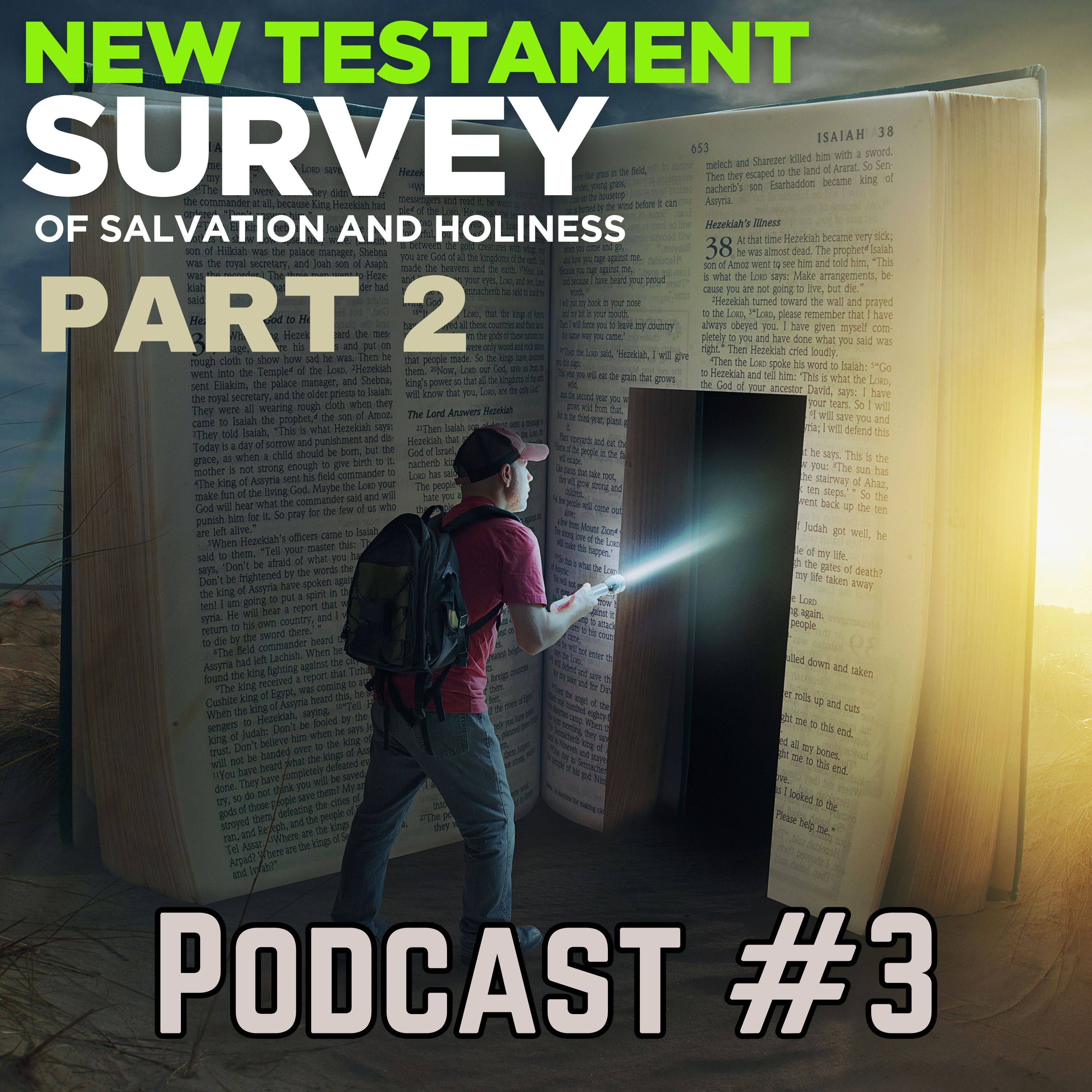 Podcast #3 The Truth About Eternal Security in Christ episode artwork