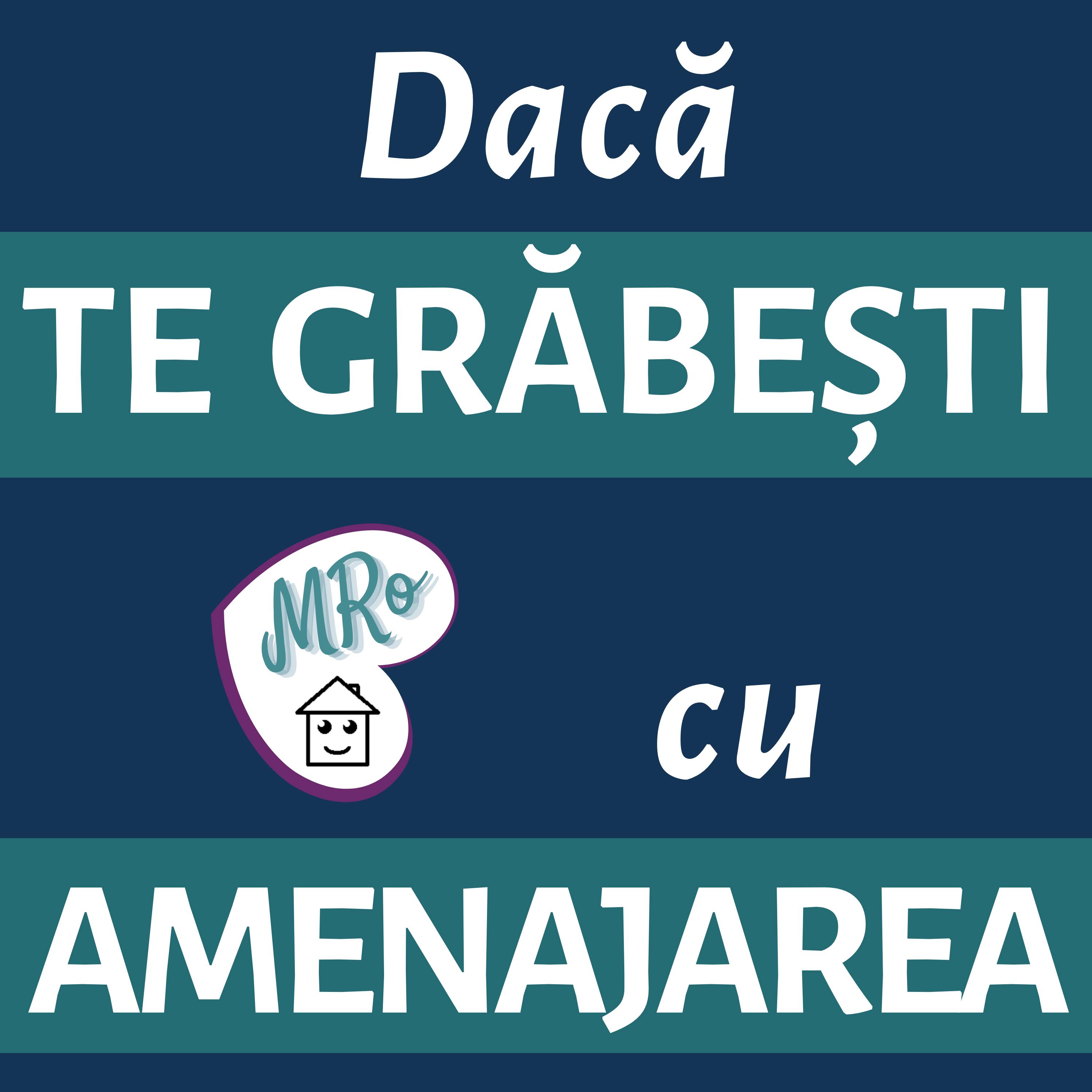 Ep.23- Amenajarea PE GRABĂ cu meșterii în casă episode artwork