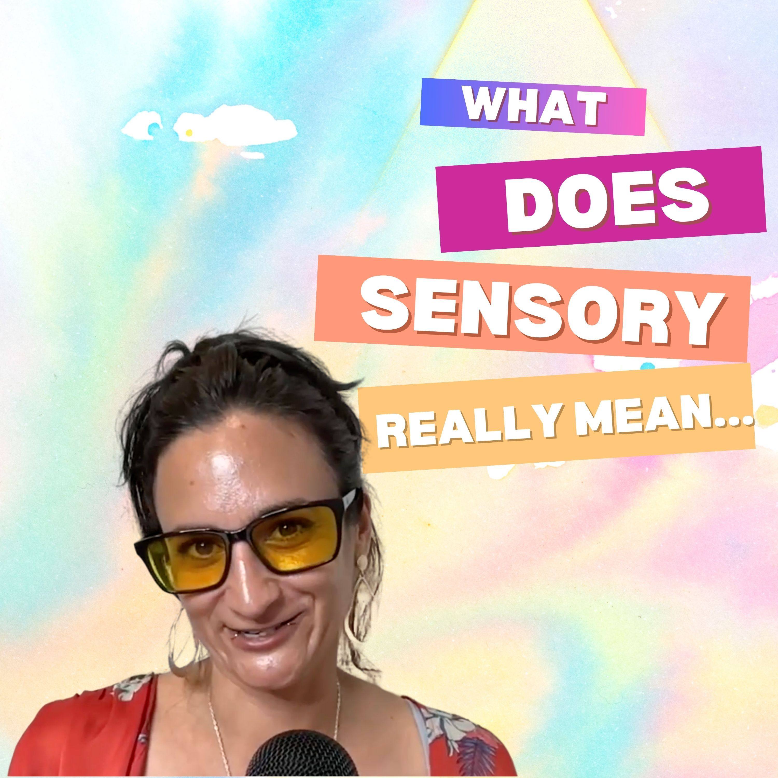 What Does 'Sensory' Really Mean? Breaking Down the Buzzword episode artwork