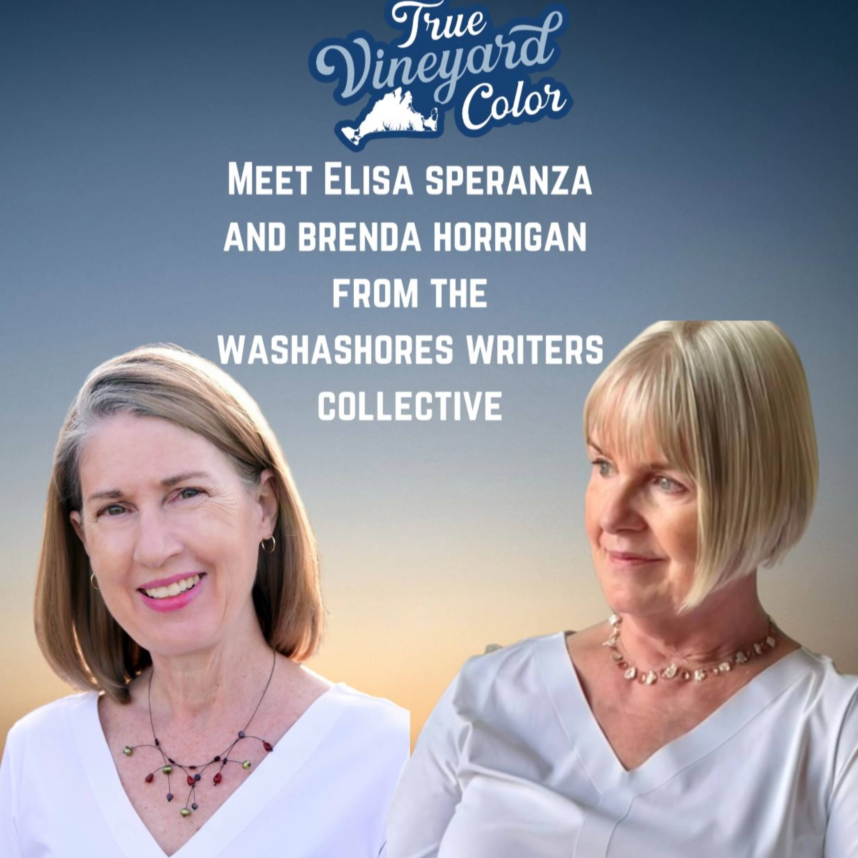 Ep 38 - Authors Brenda Horrigan and Elisa Speranza on writing and creating a true sisterhood with the Washashores Writers Collective episode artwork