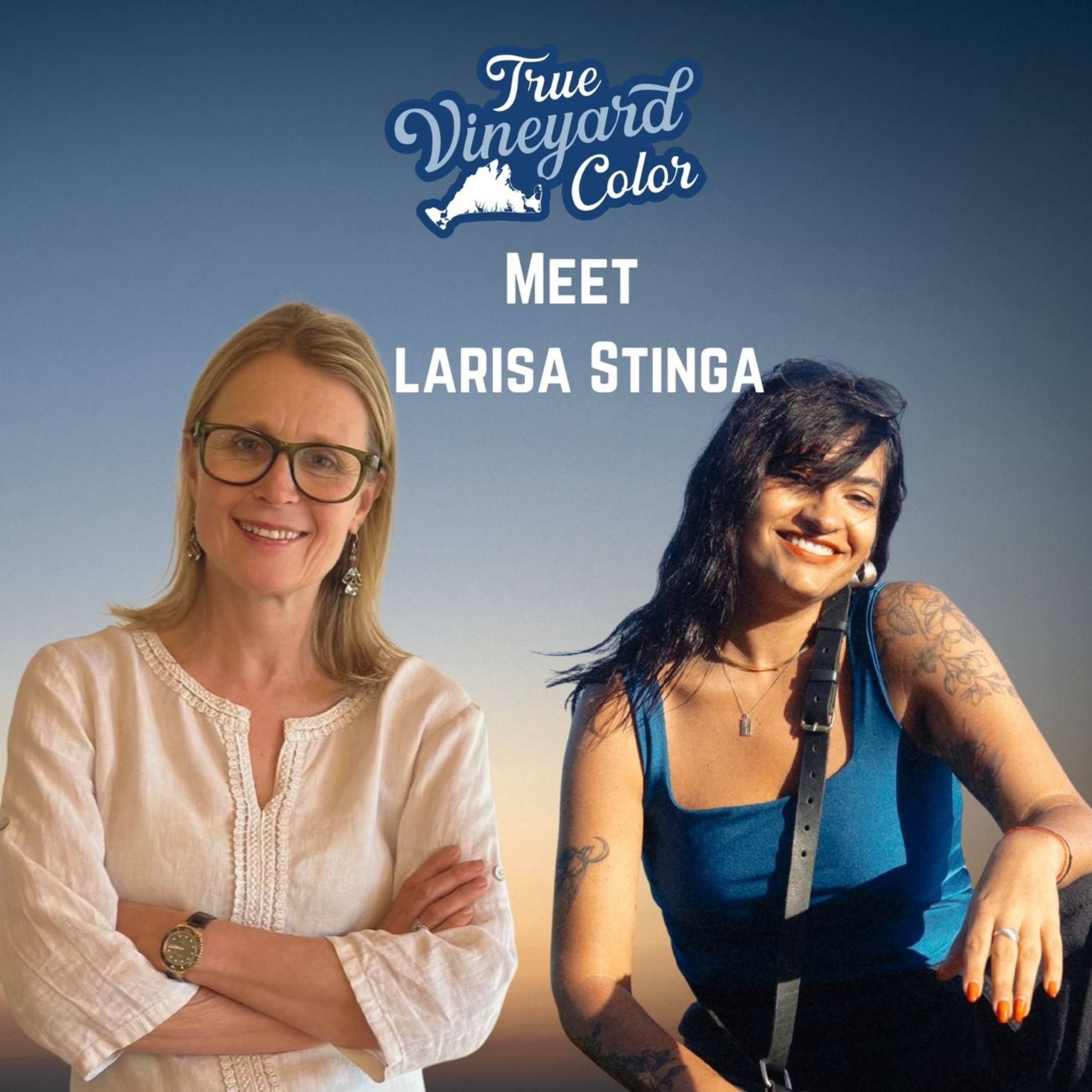 Ep 33 - Larisa Stinga on finding inspiration in new surroundings and telling stories through the lens. episode artwork