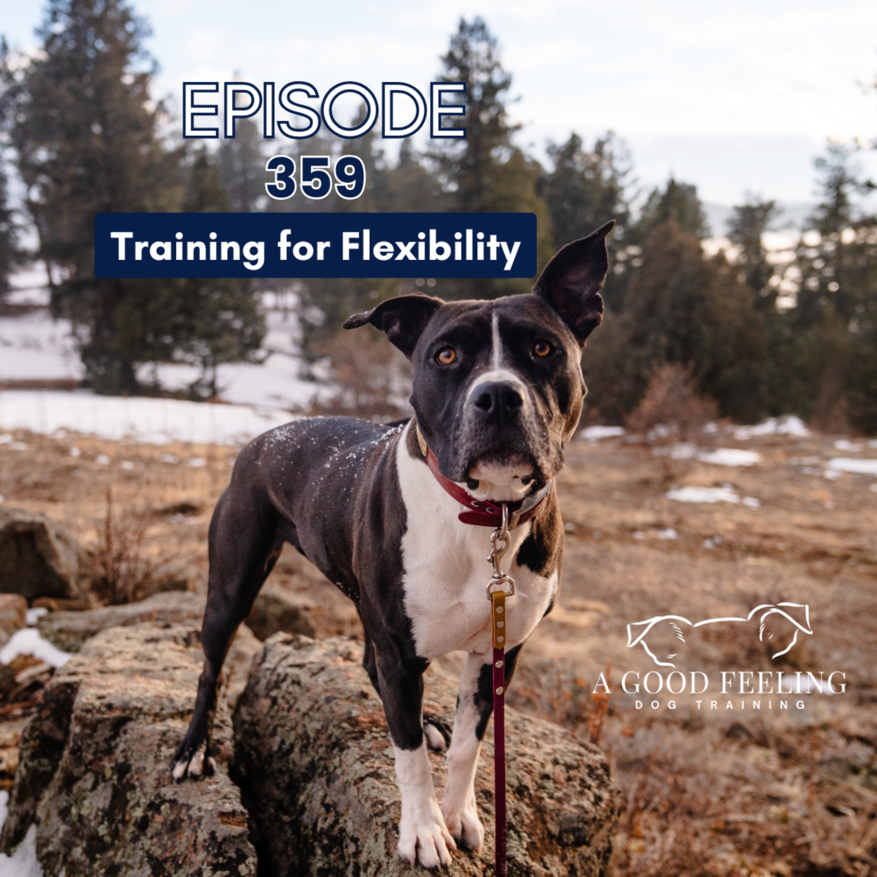 359. Training for Flexibility