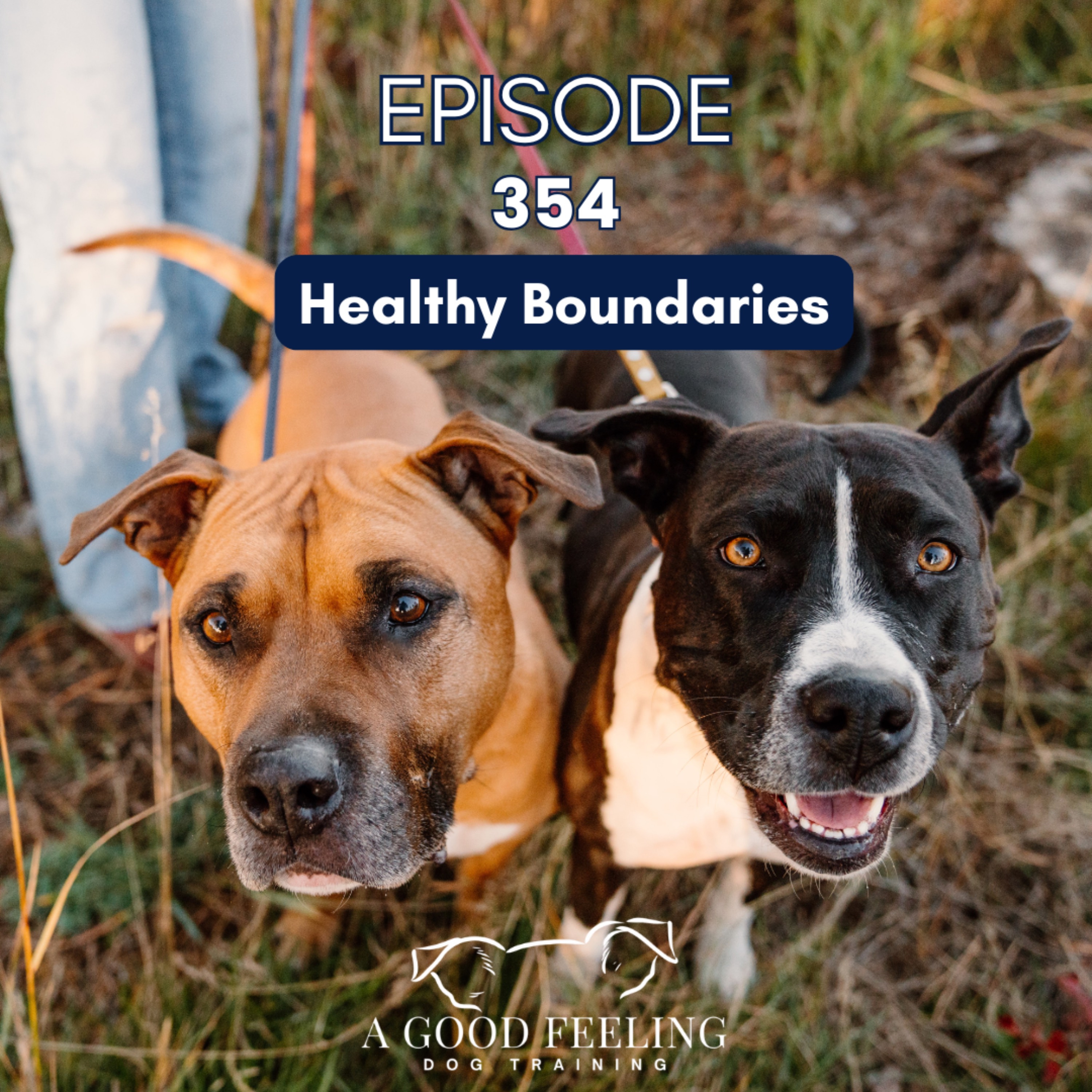 354. Healthy Boundaries