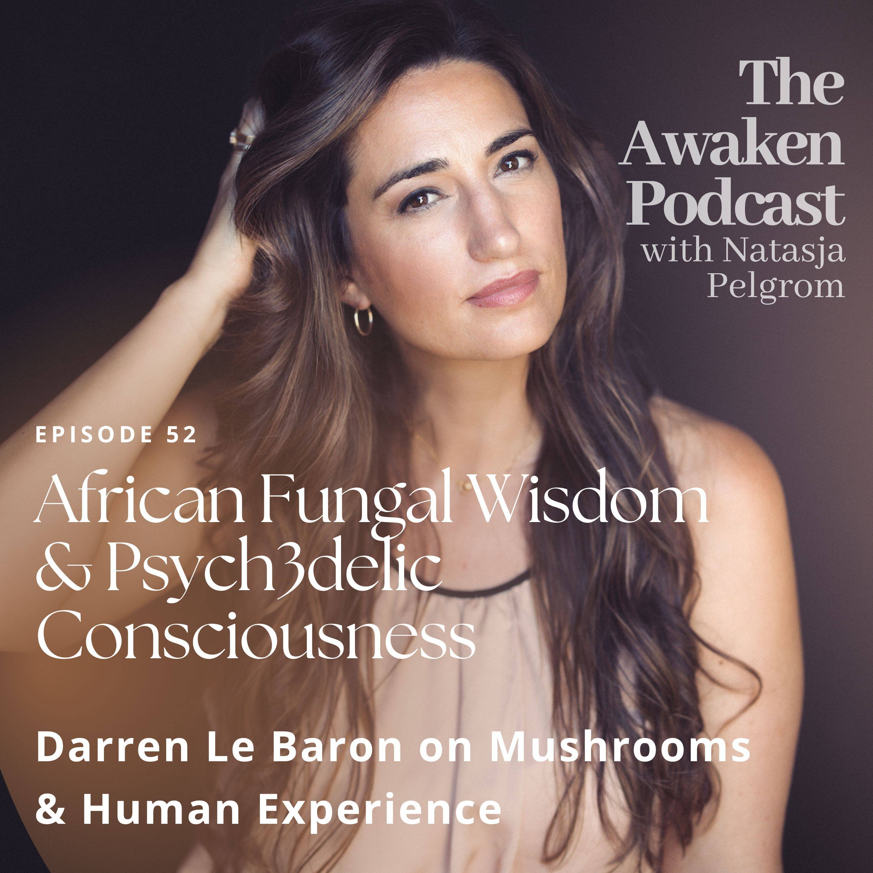African Fungal Wisdom & Psych3delic Consciousness