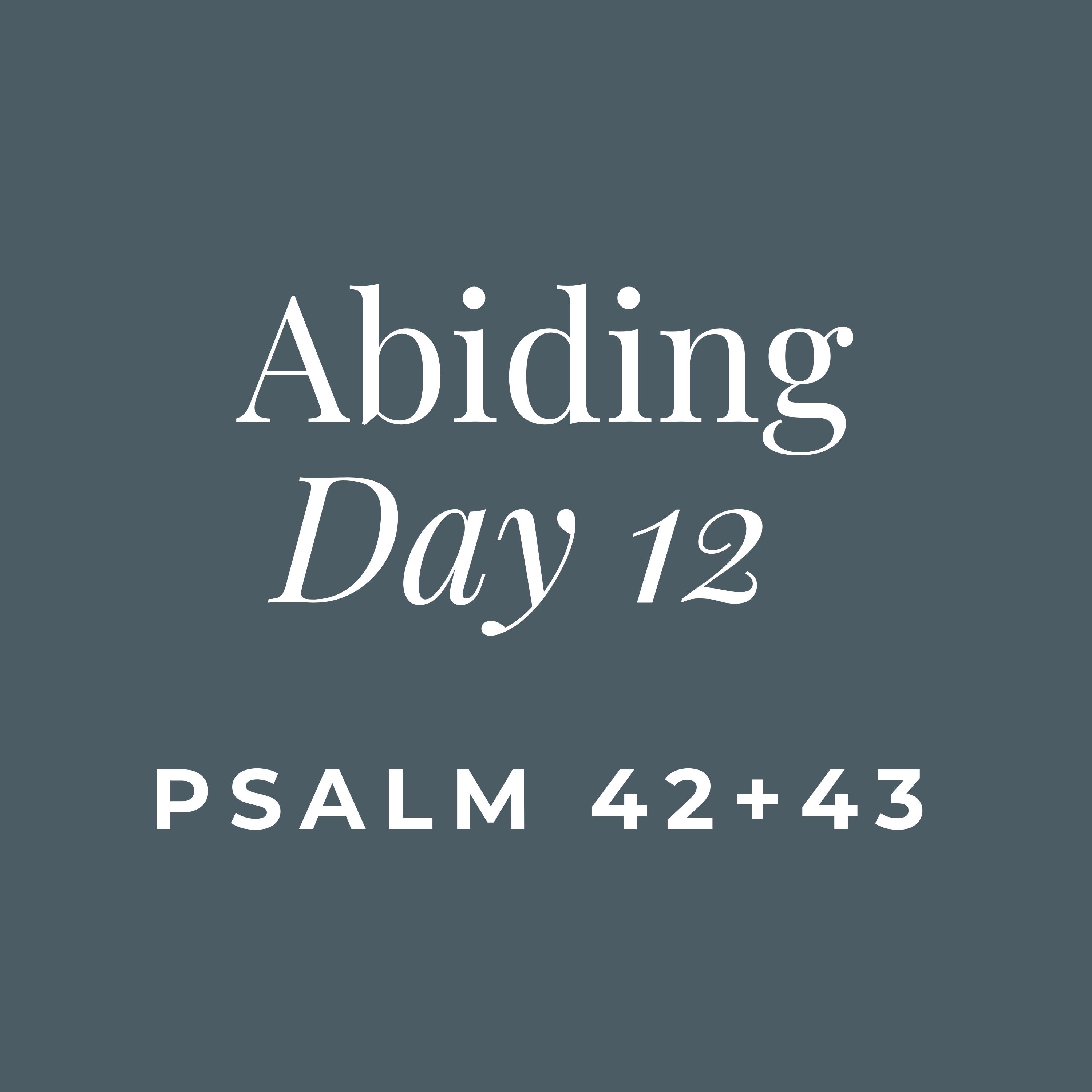 ABIDING - Day 12 (On Navigating Discouragement)