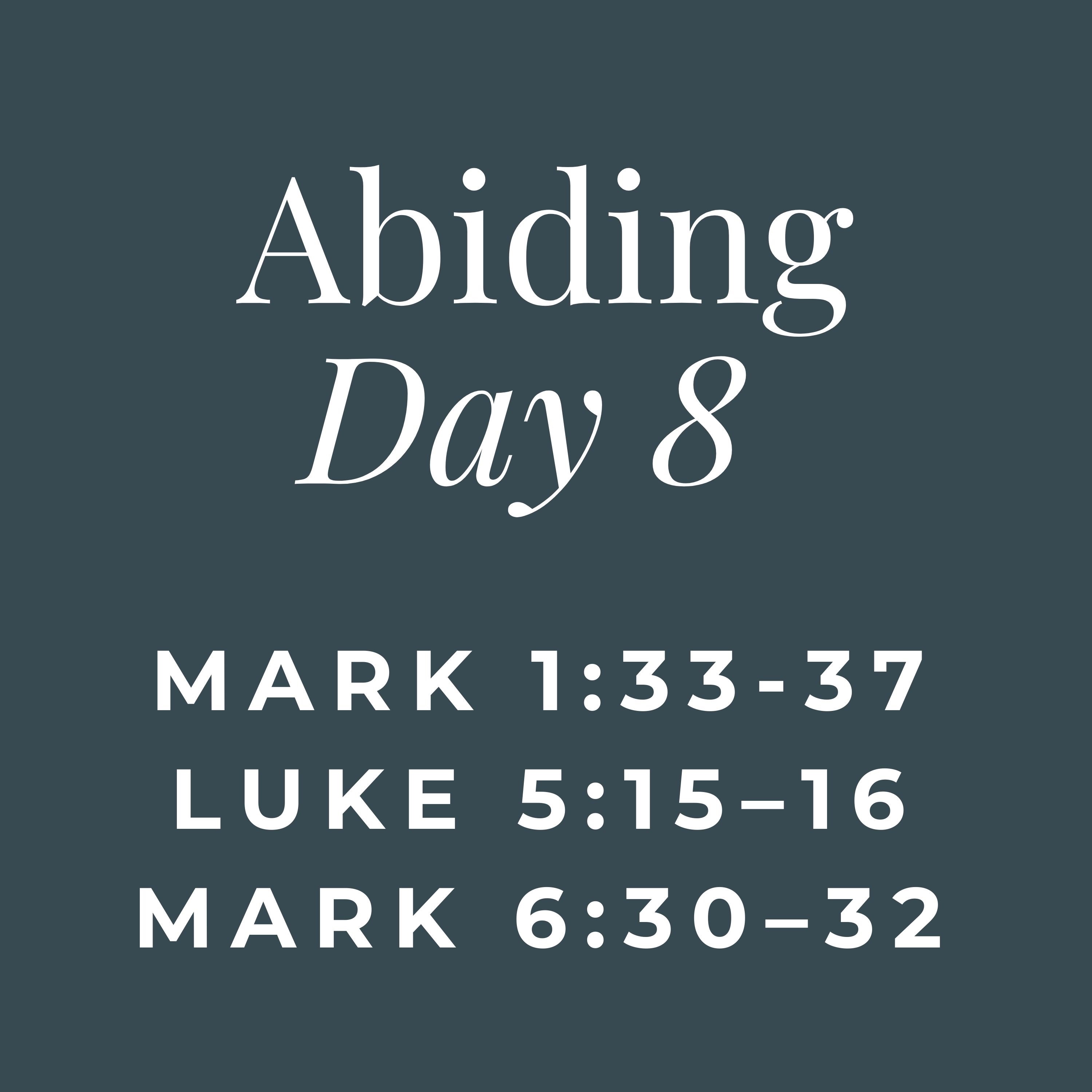 ABIDING - Day 8 (On Permission to Rest)