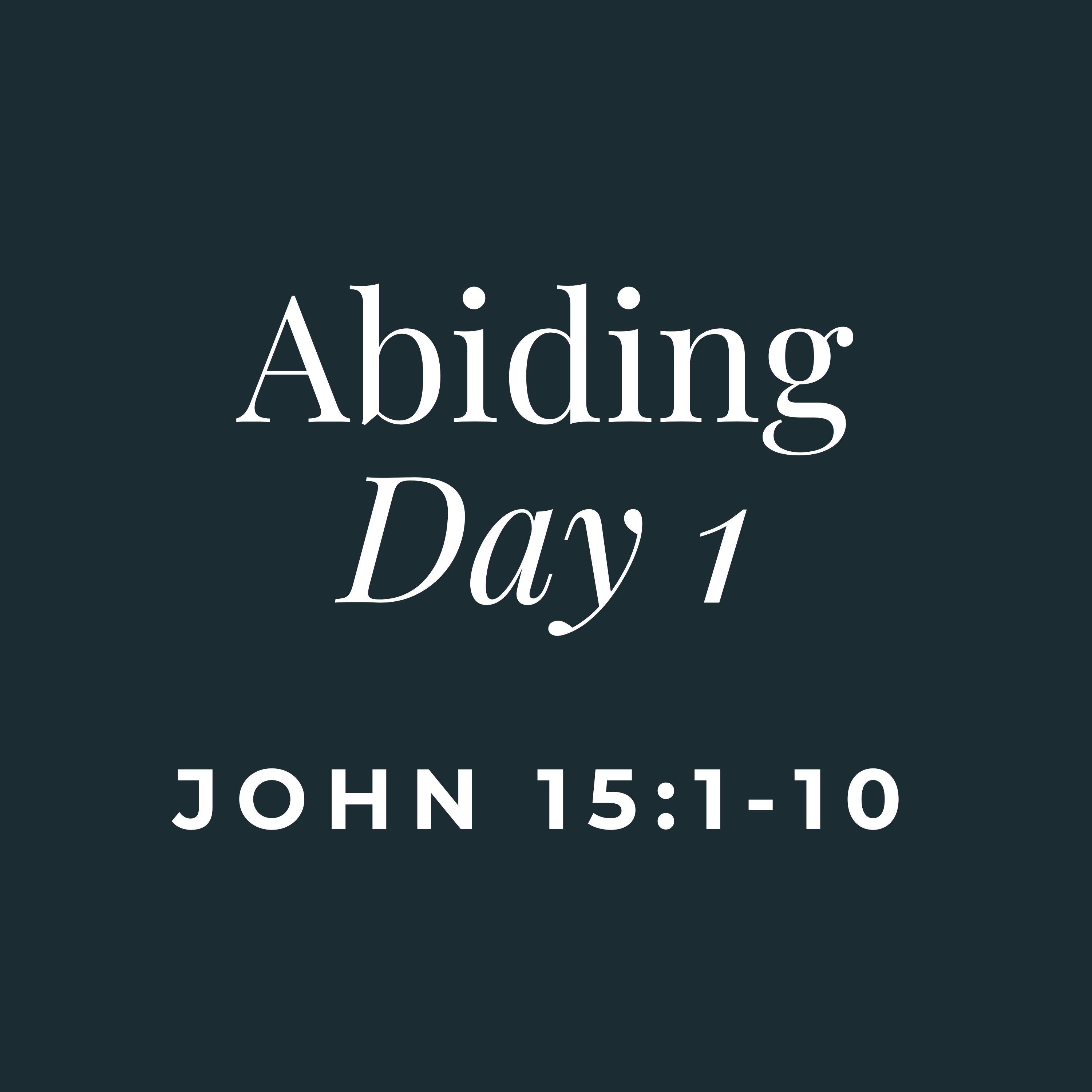 ABIDING - Day 1 (Series Overview + Abiding with Christ)
