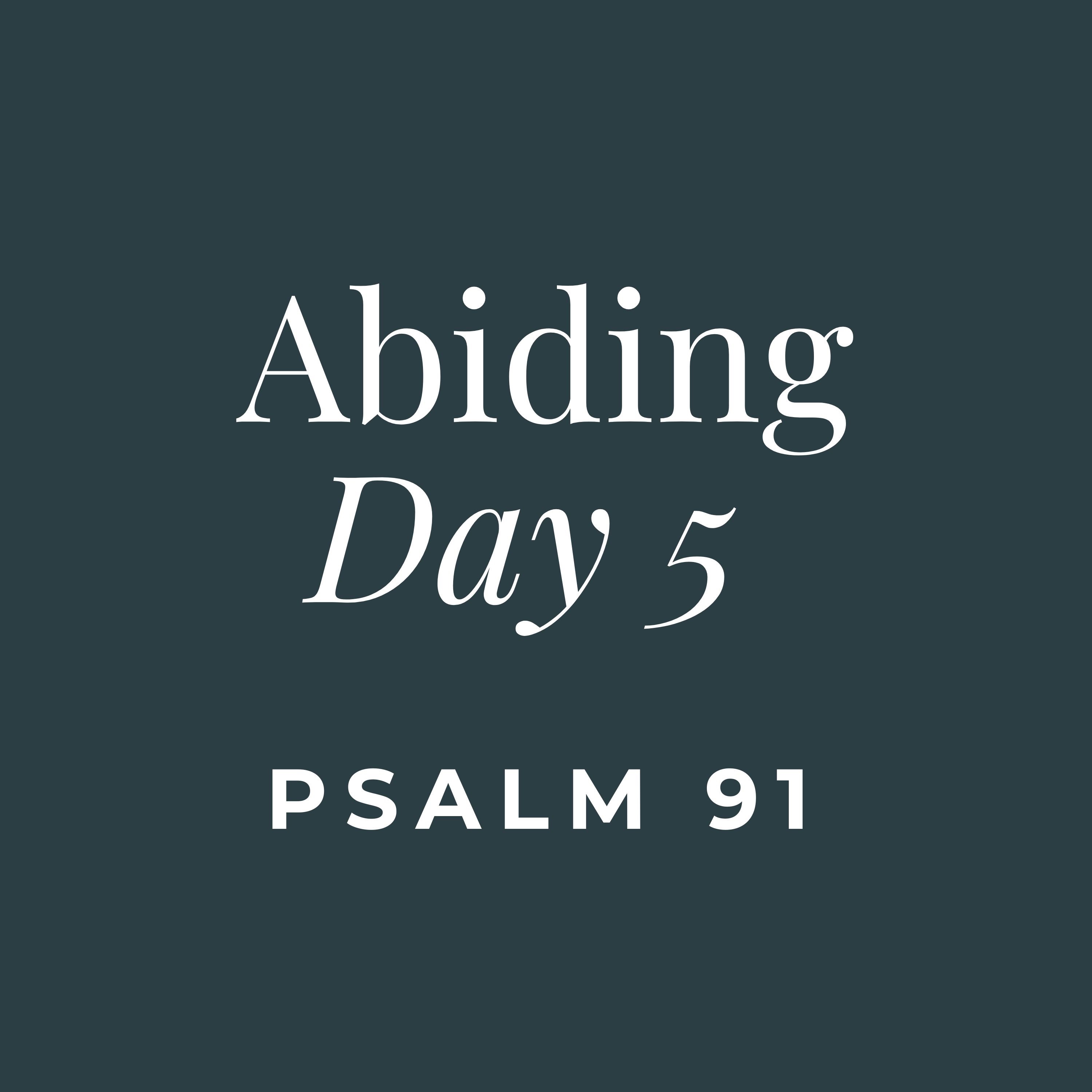 ABIDING - Day 5 (On Protection and Security)