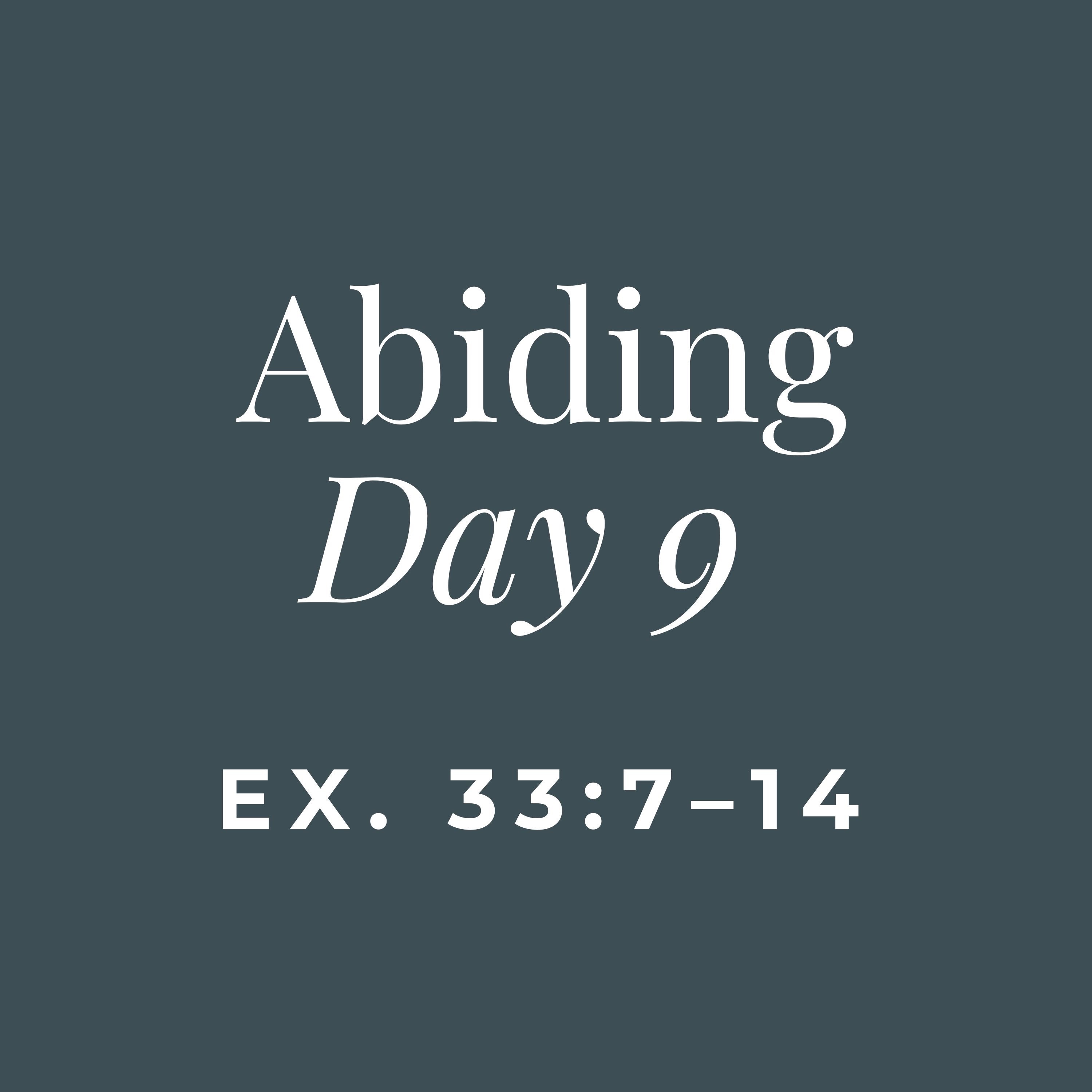 ABIDING - Day 9 (On Preparation for Leadership)
