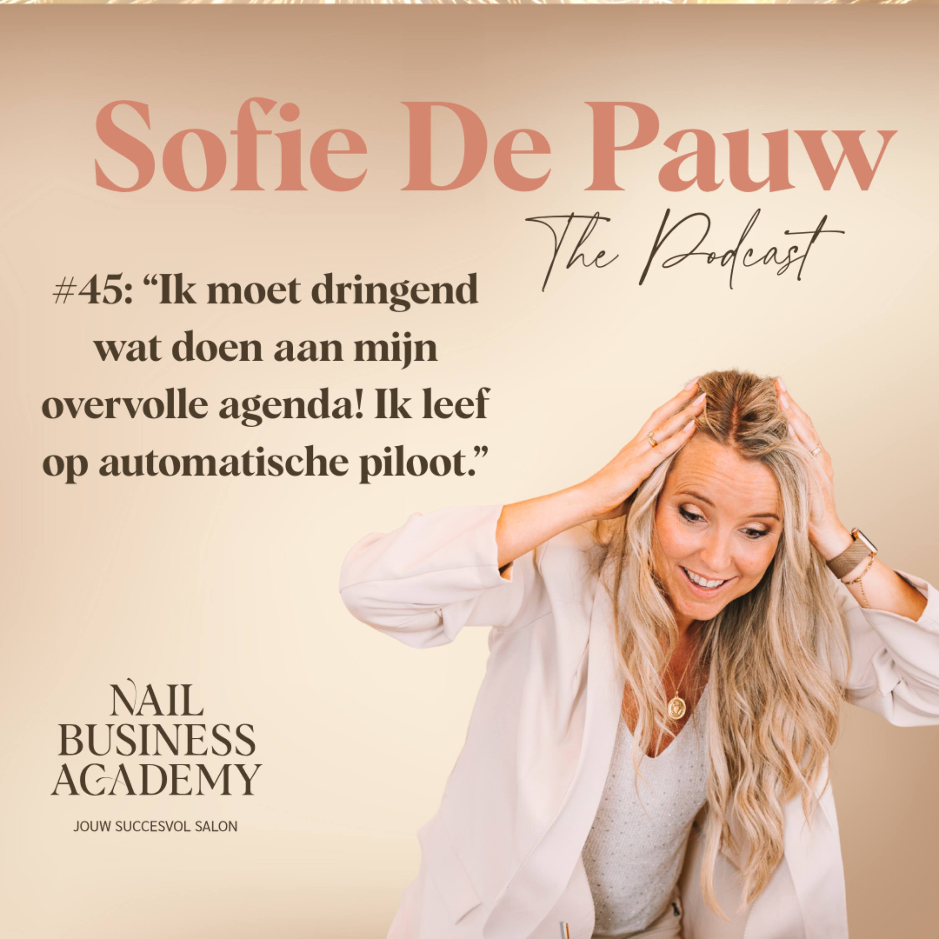 #45: Ik moet dringend wat doen aan mijn overvolle agenda! Ik leef op automatische piloot. episode artwork