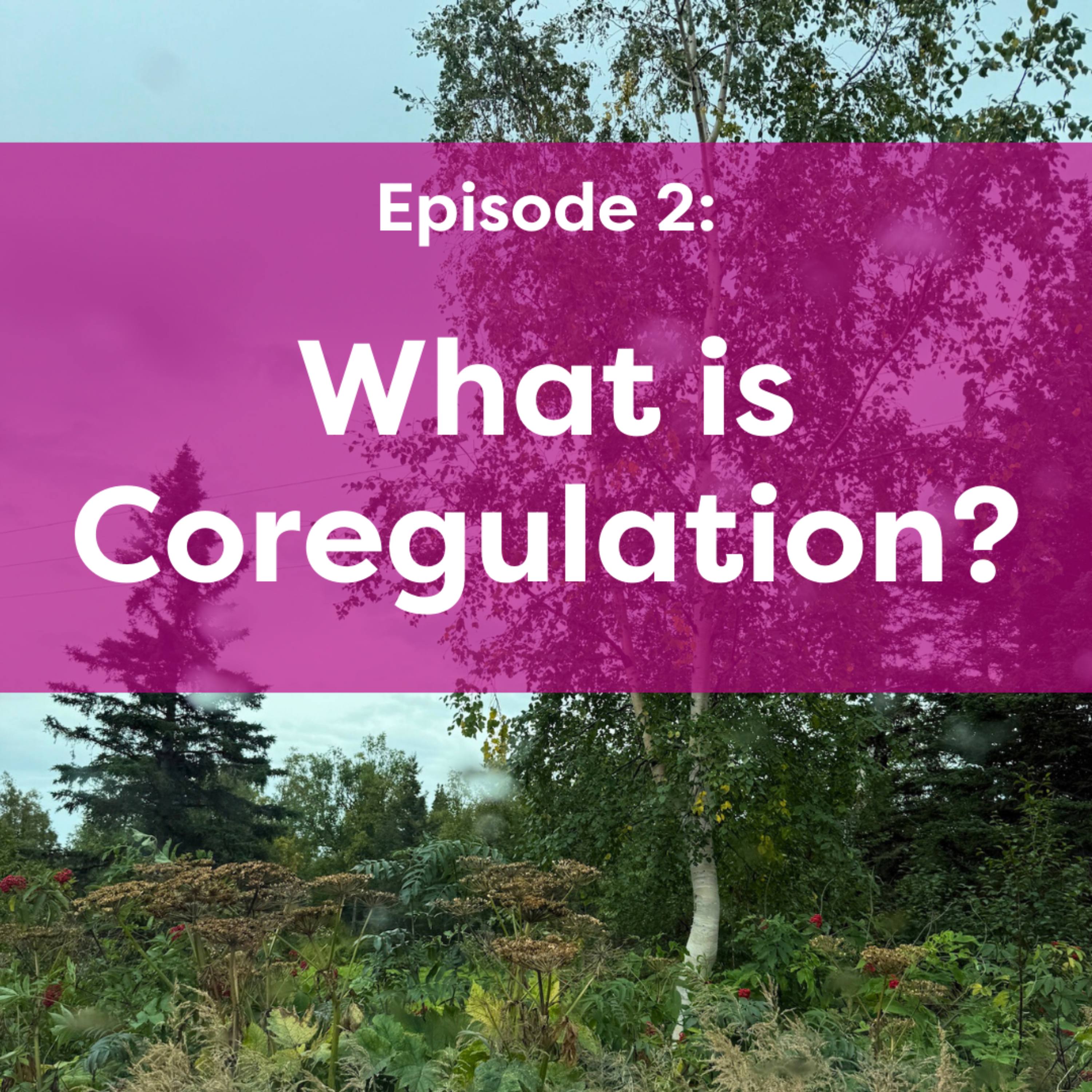 Coregulation Conversations