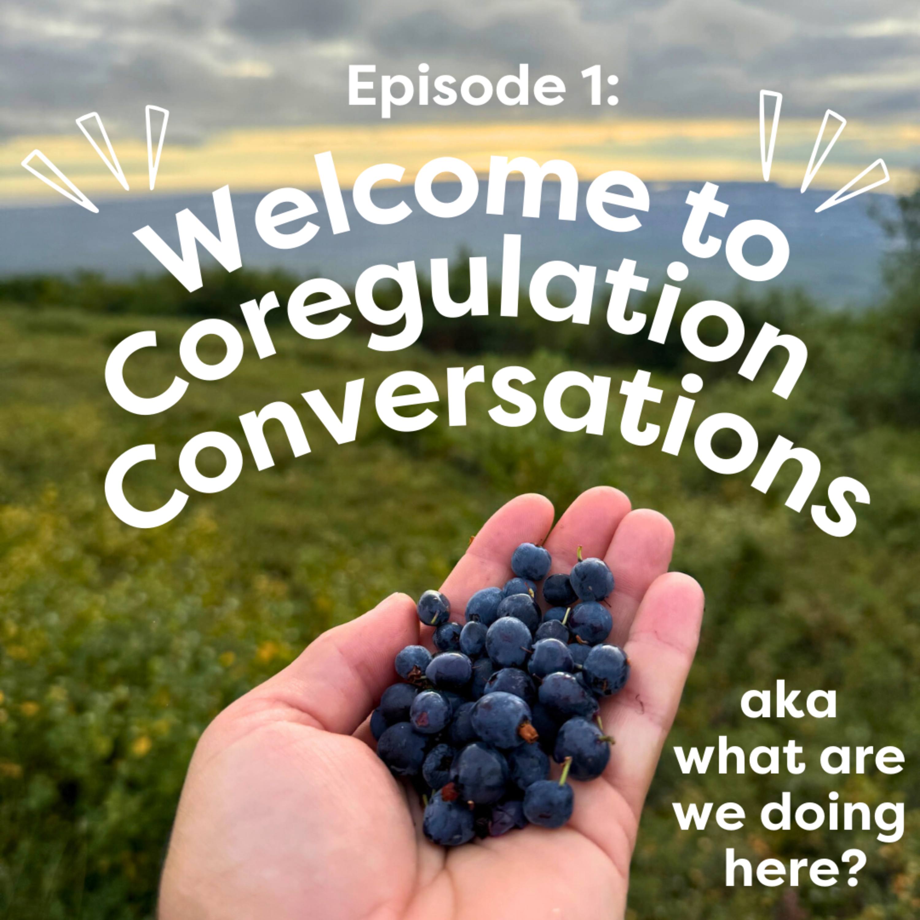 Coregulation Conversations