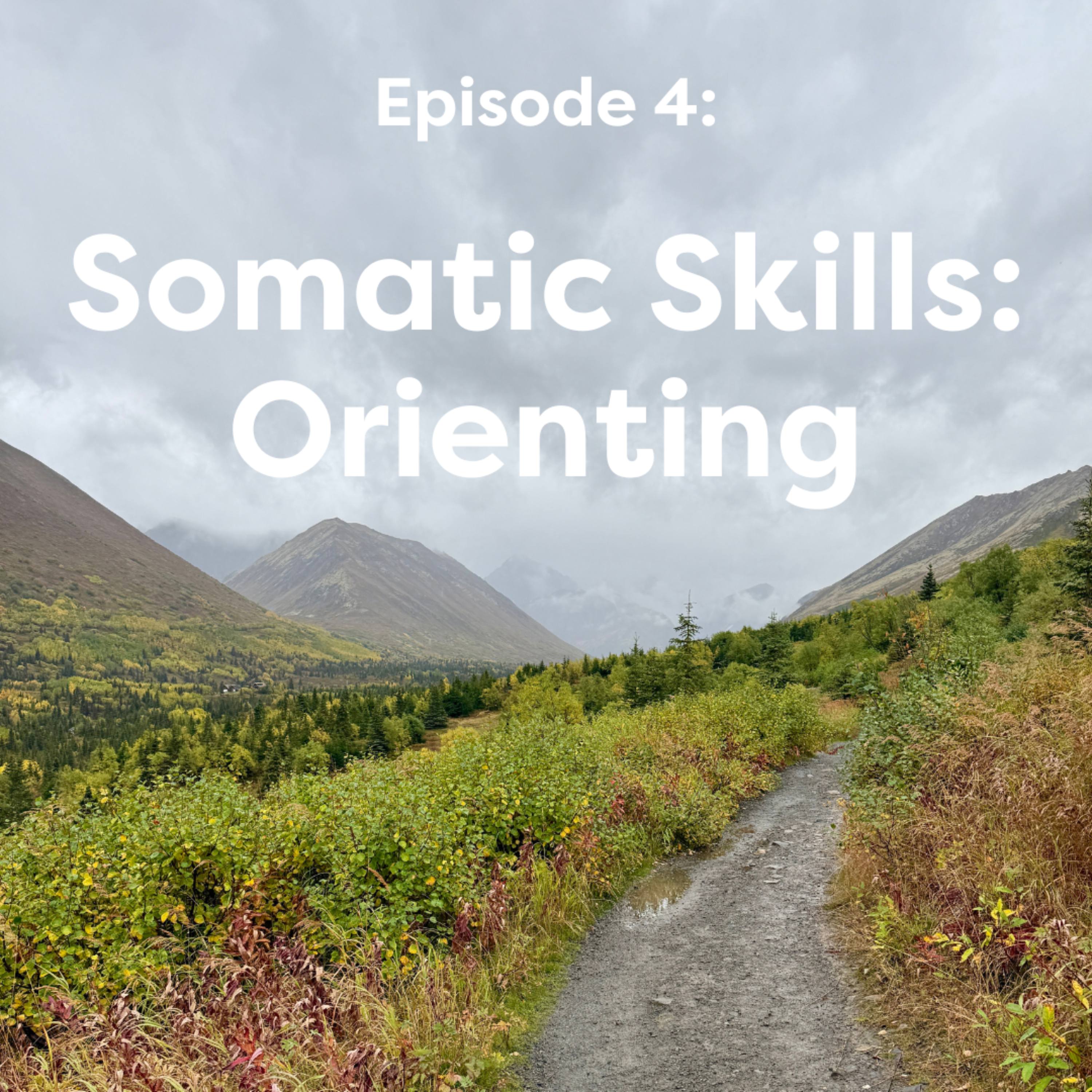 Coregulation Conversations